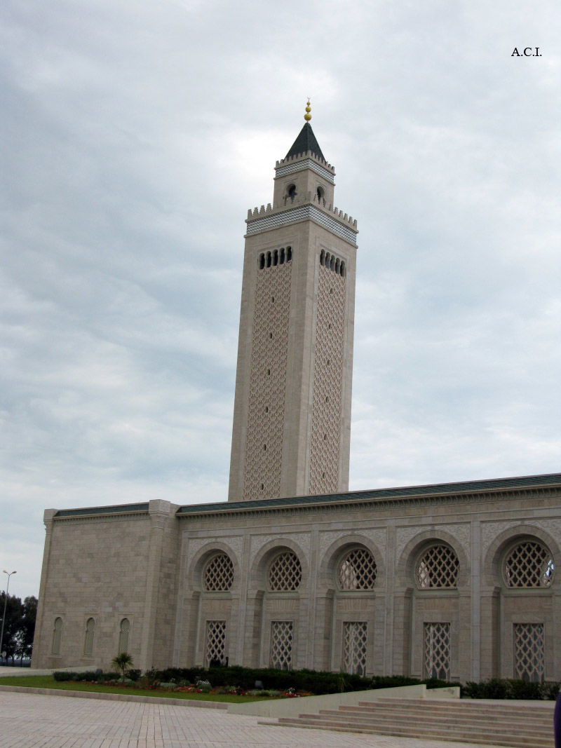 Mezquita Real de Cártago, por ANADEL