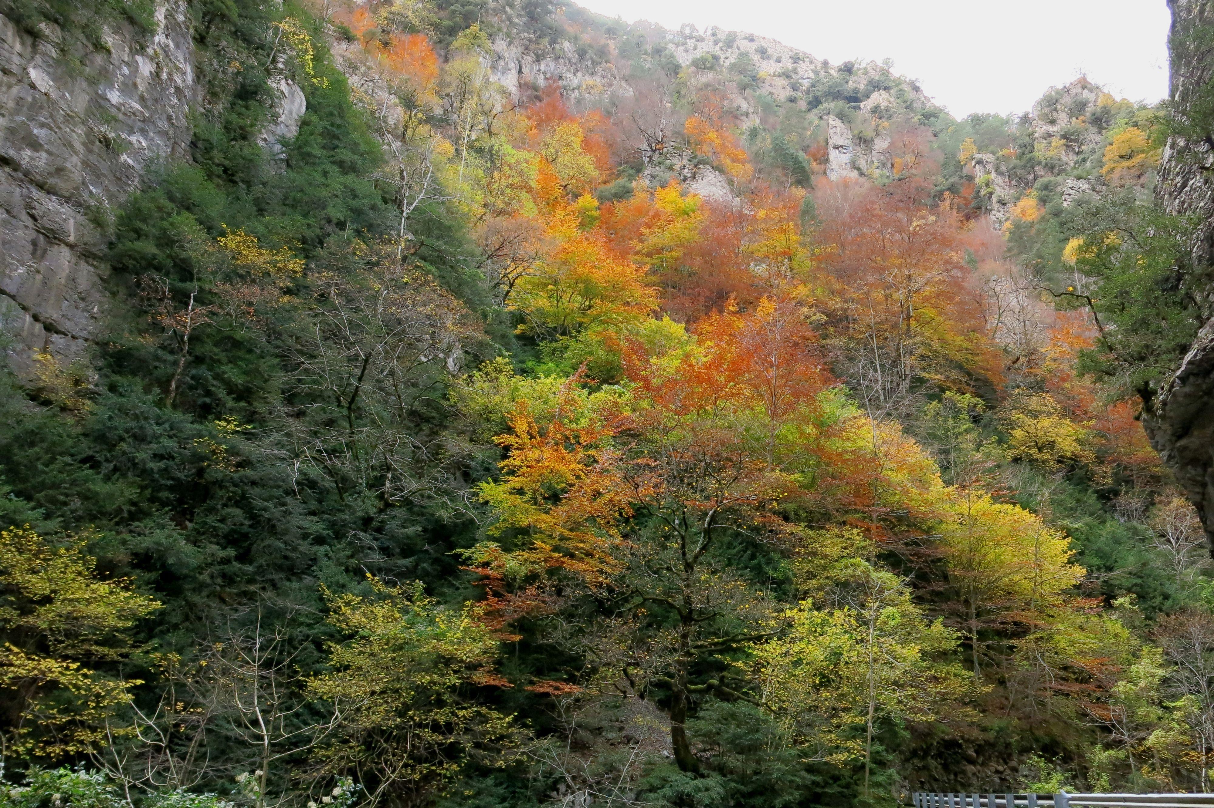 Valle de Añisclo, por enric barbany aris