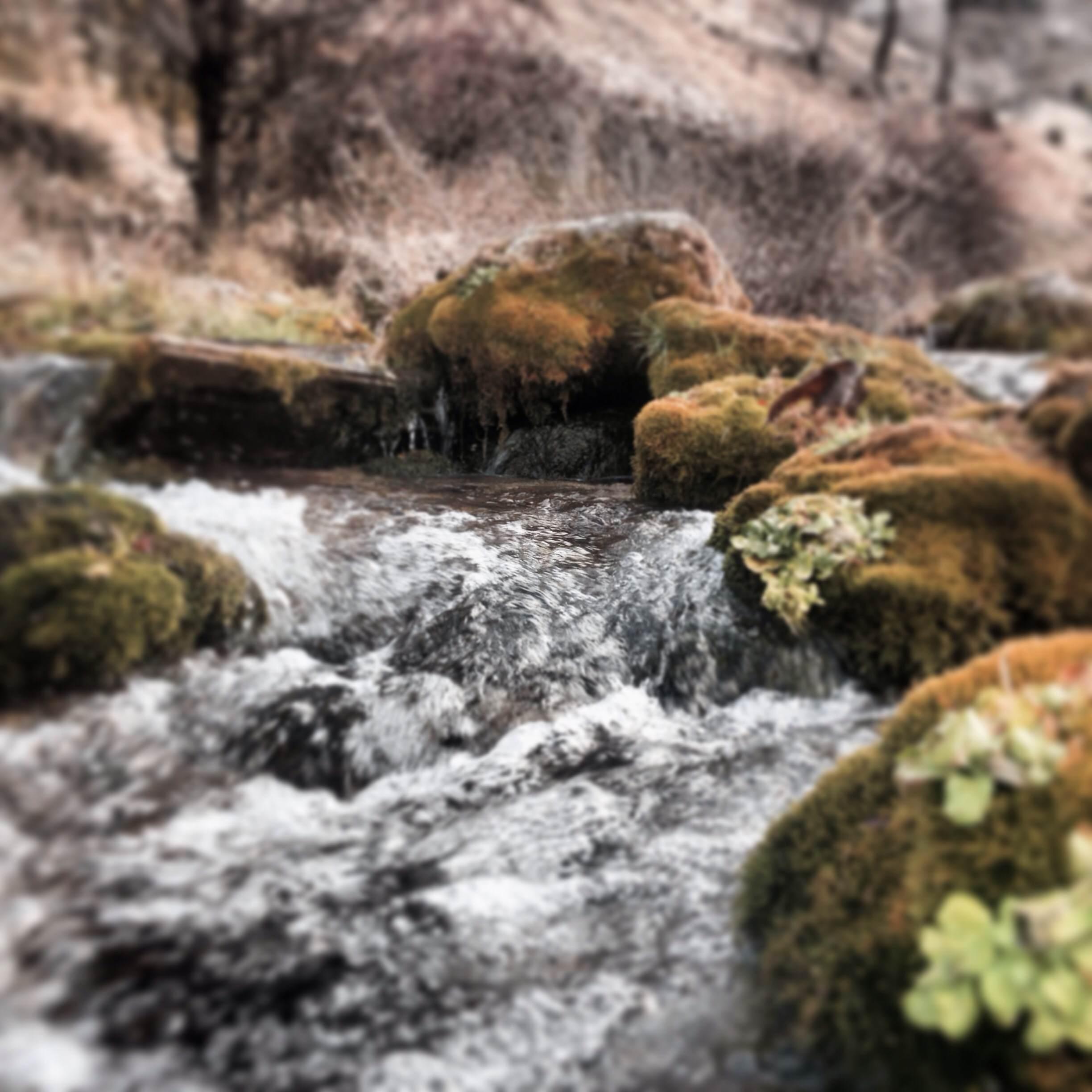 Nacimiento del río Segura, por Pedro Botia Escamez
