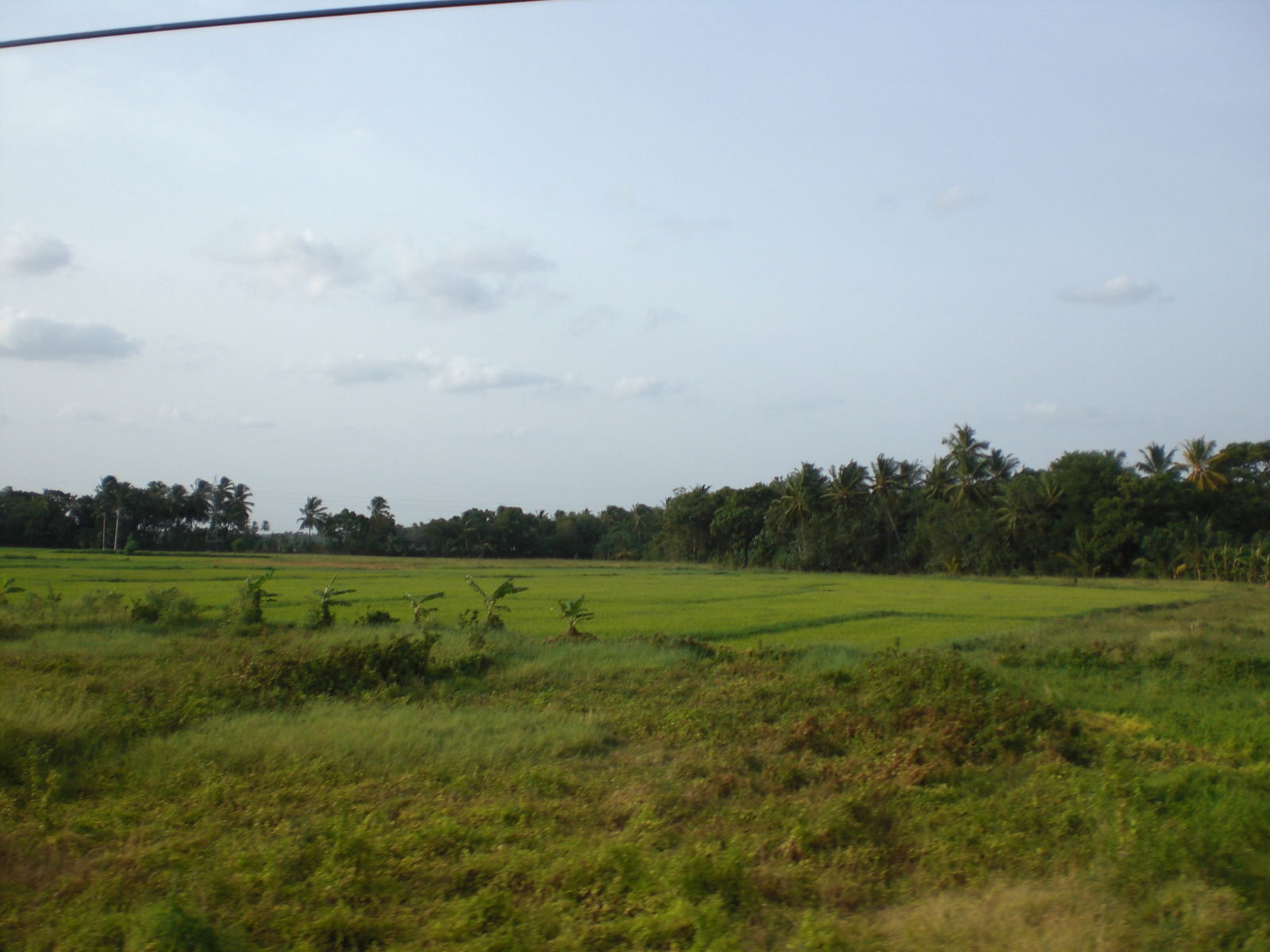 De Sigiriya a Polonnaruwa, por guanche