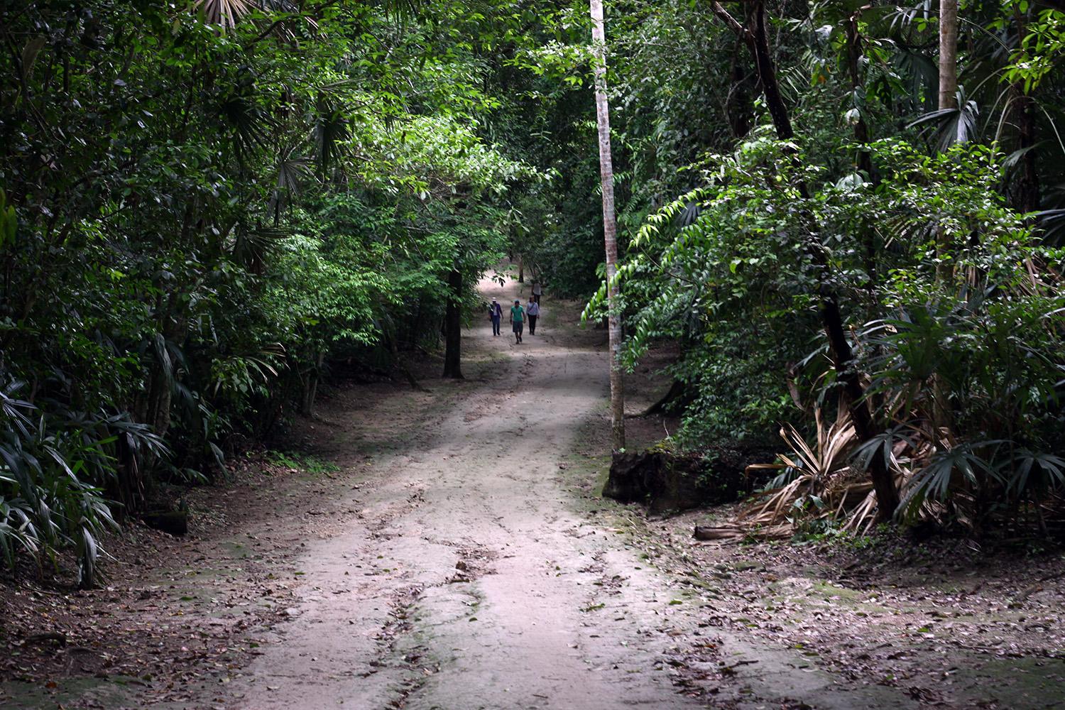 Parque Nacional Tikal, por Tribi Lin