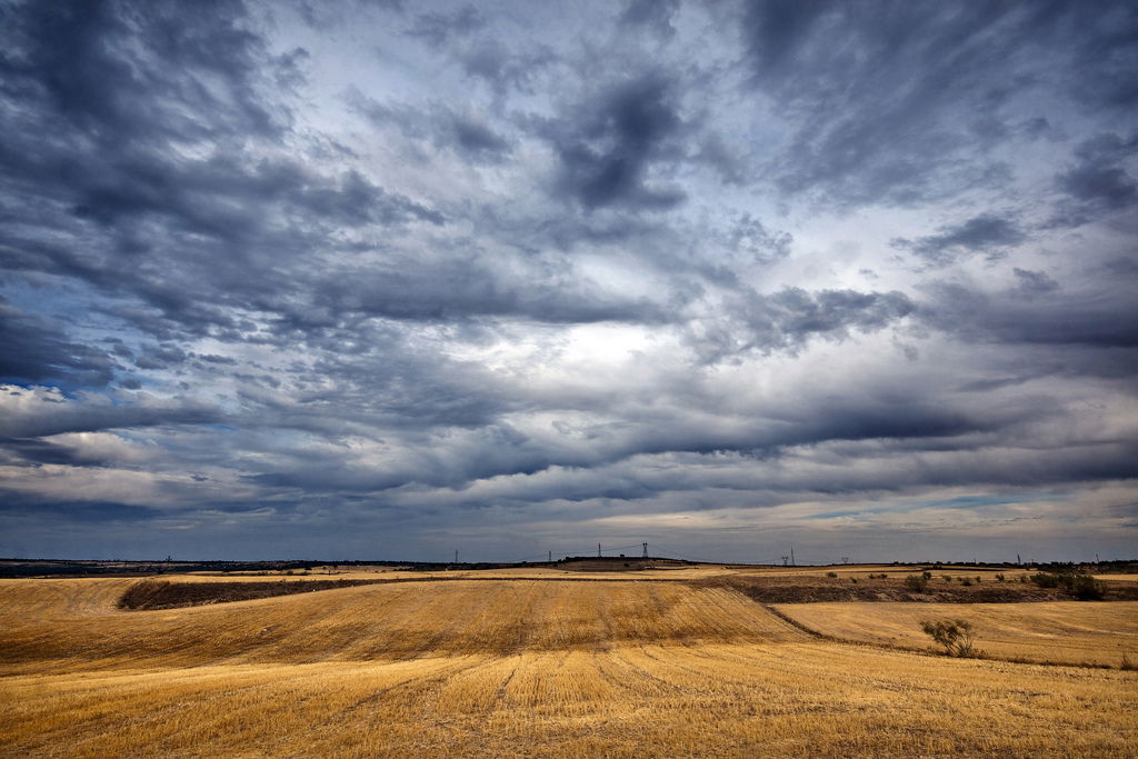 Campo de Brunete, por David Cornejo Rodríguez