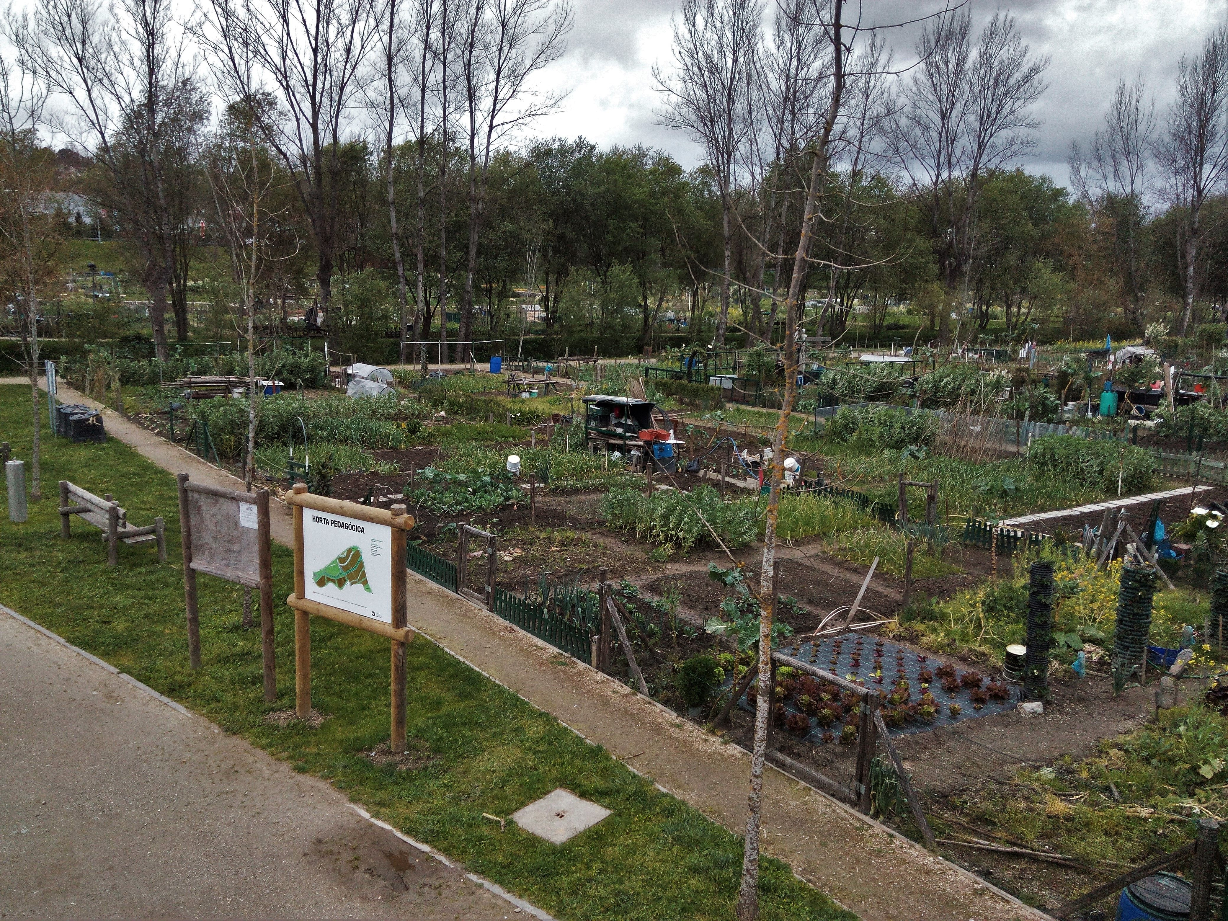 Aire libre en Guimarães: descubre la naturaleza y el relax que ofrece