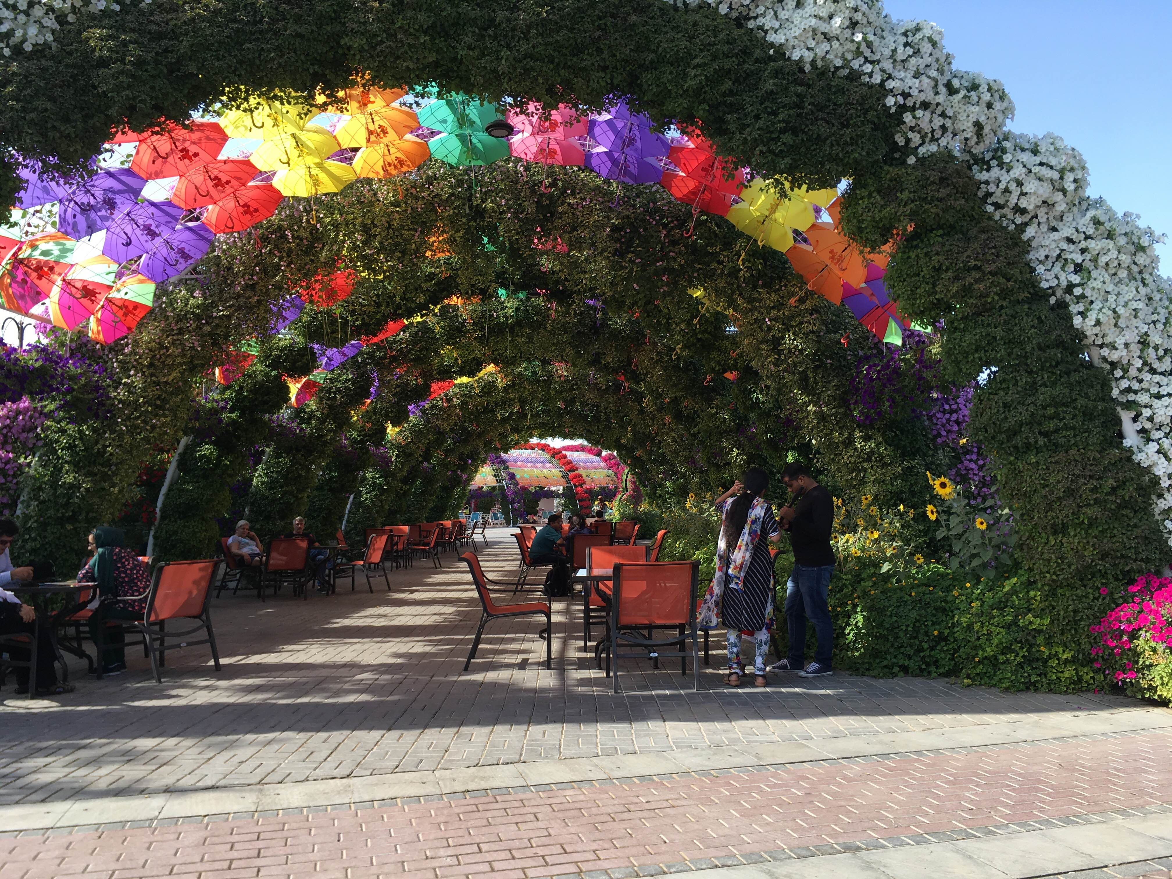 Miracle Garden, por Patricia Calero Acosta