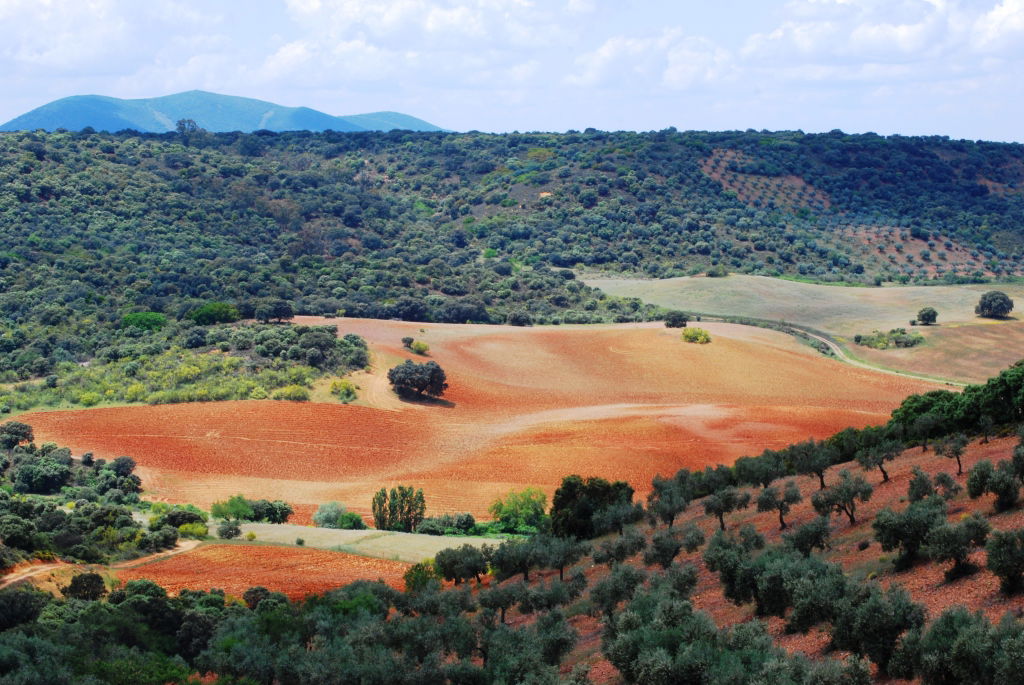 Montes de Toledo, por SerViajera