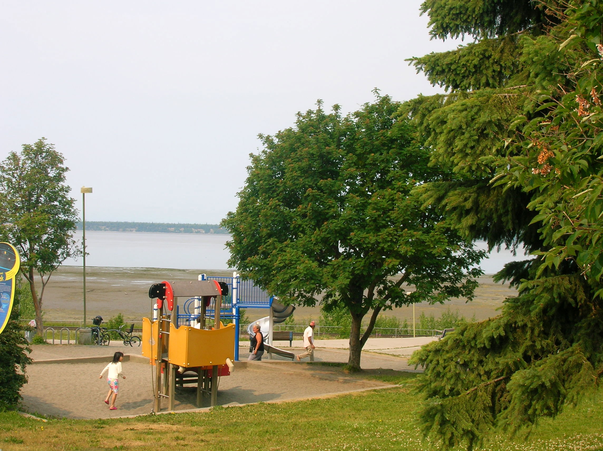 Elderberry Park, por Grace Anderson