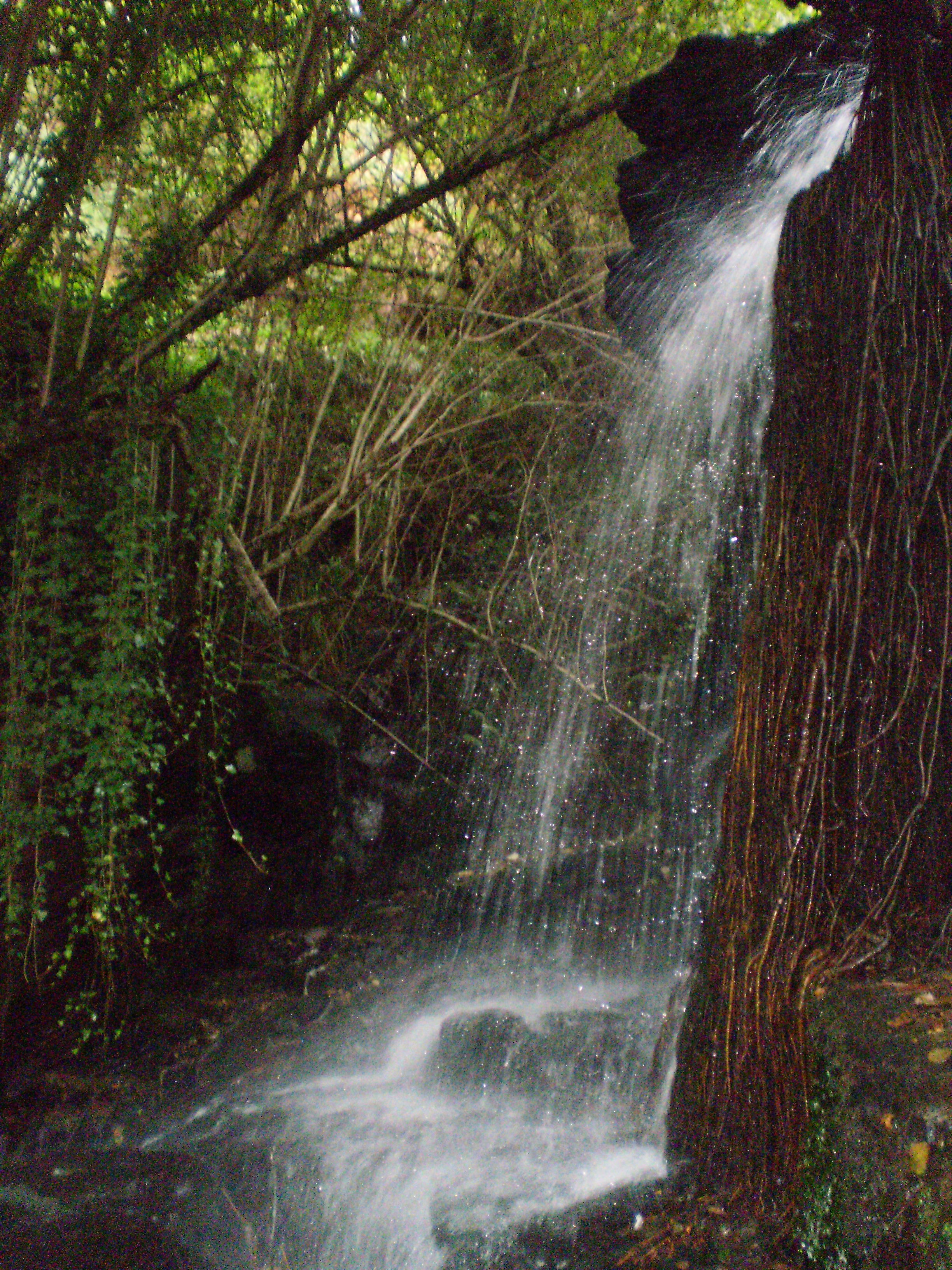 Senda del Río Eifonso, por Sasa72
