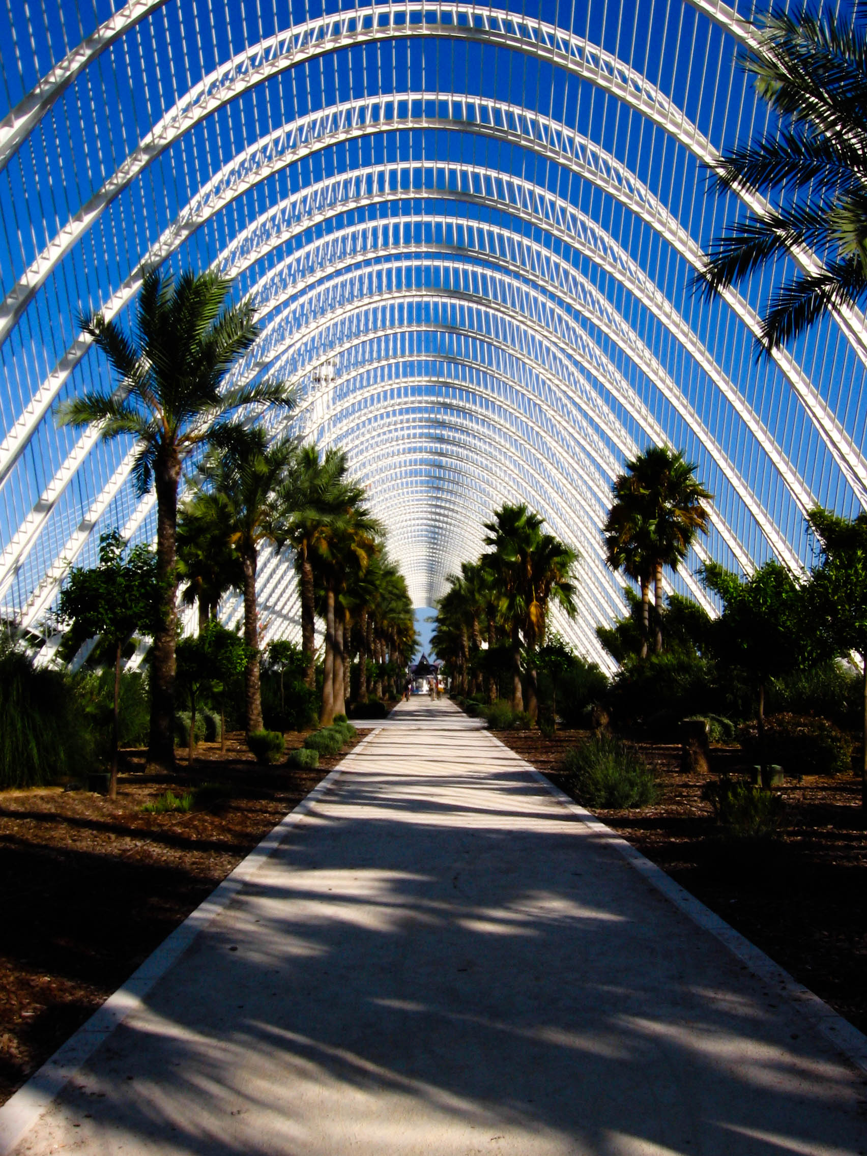 Jardín Del Turia, por Simone Cammilli