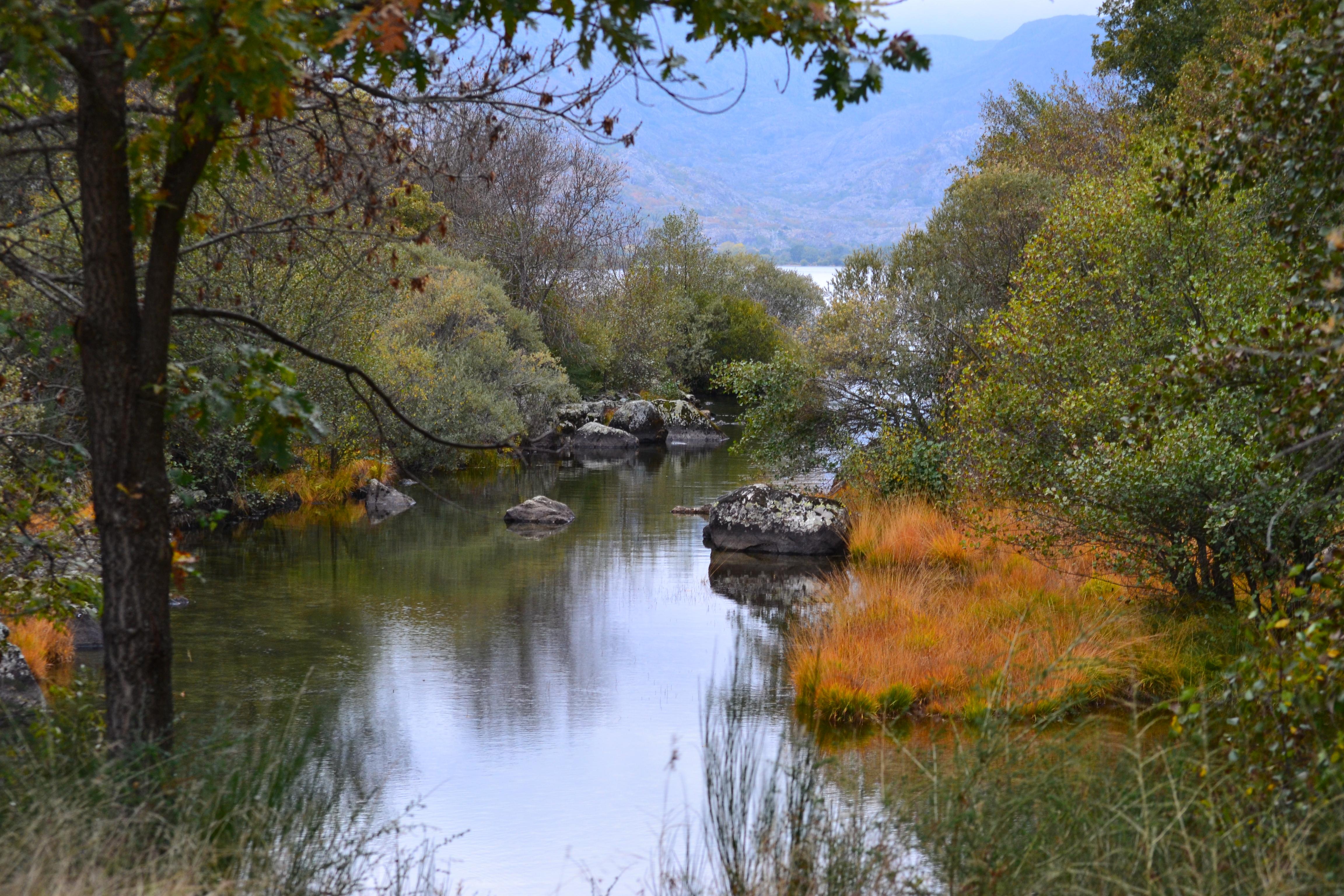 Naturaleza en estado puro: reservas naturales en Zamora que debes visitar