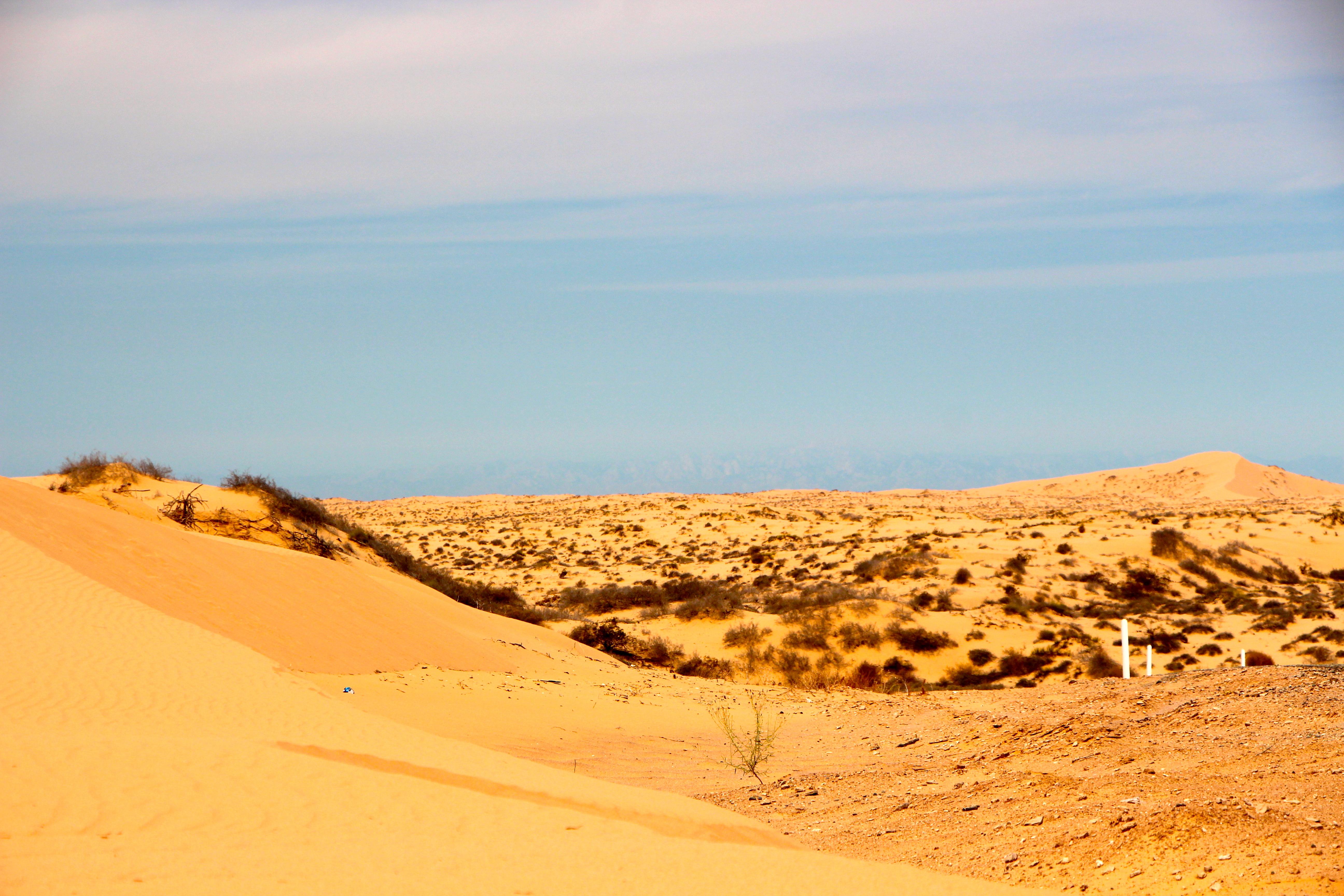 10 cosas que no puedes perderte de Sonora