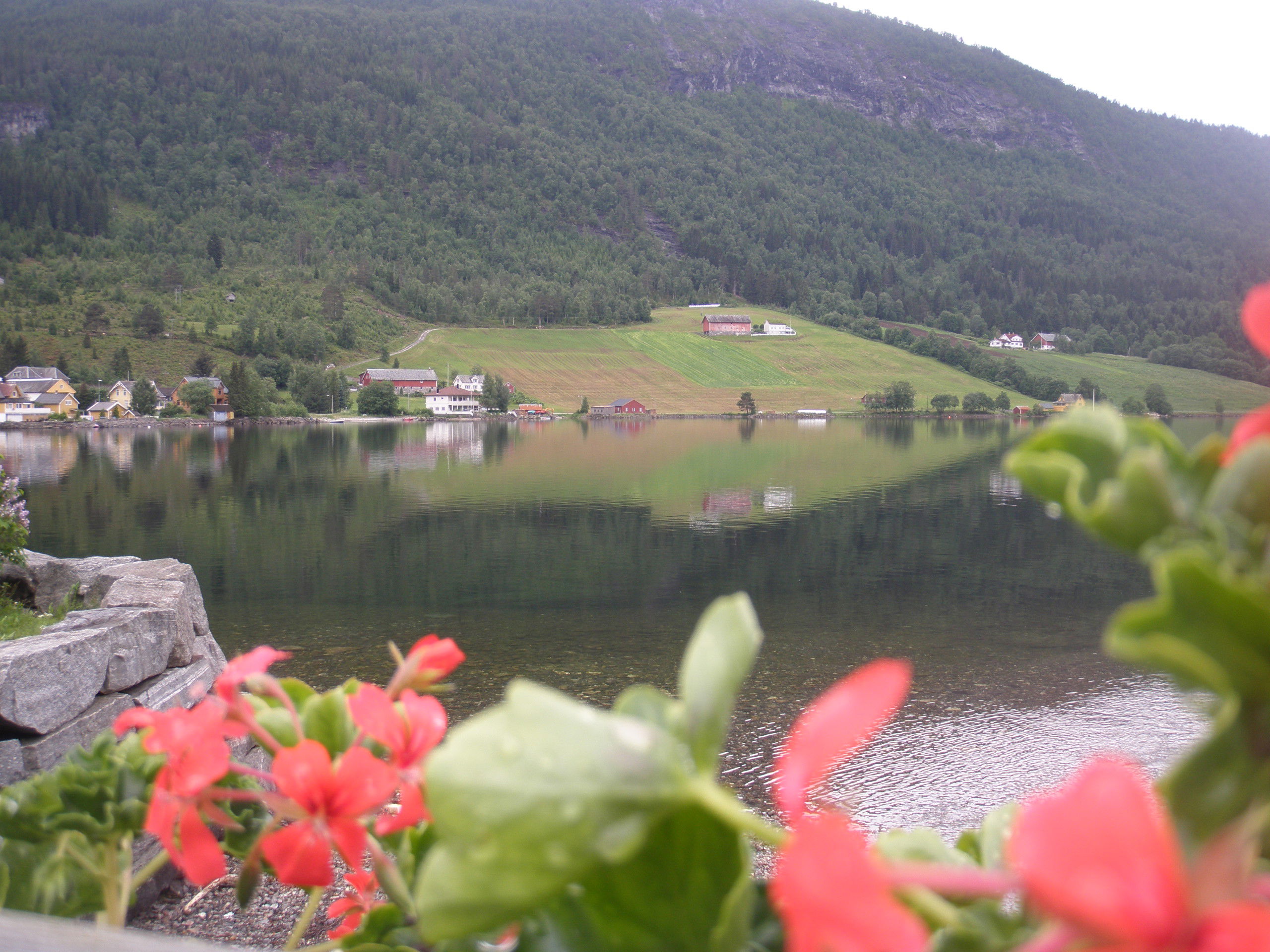 Stryn, por Enma