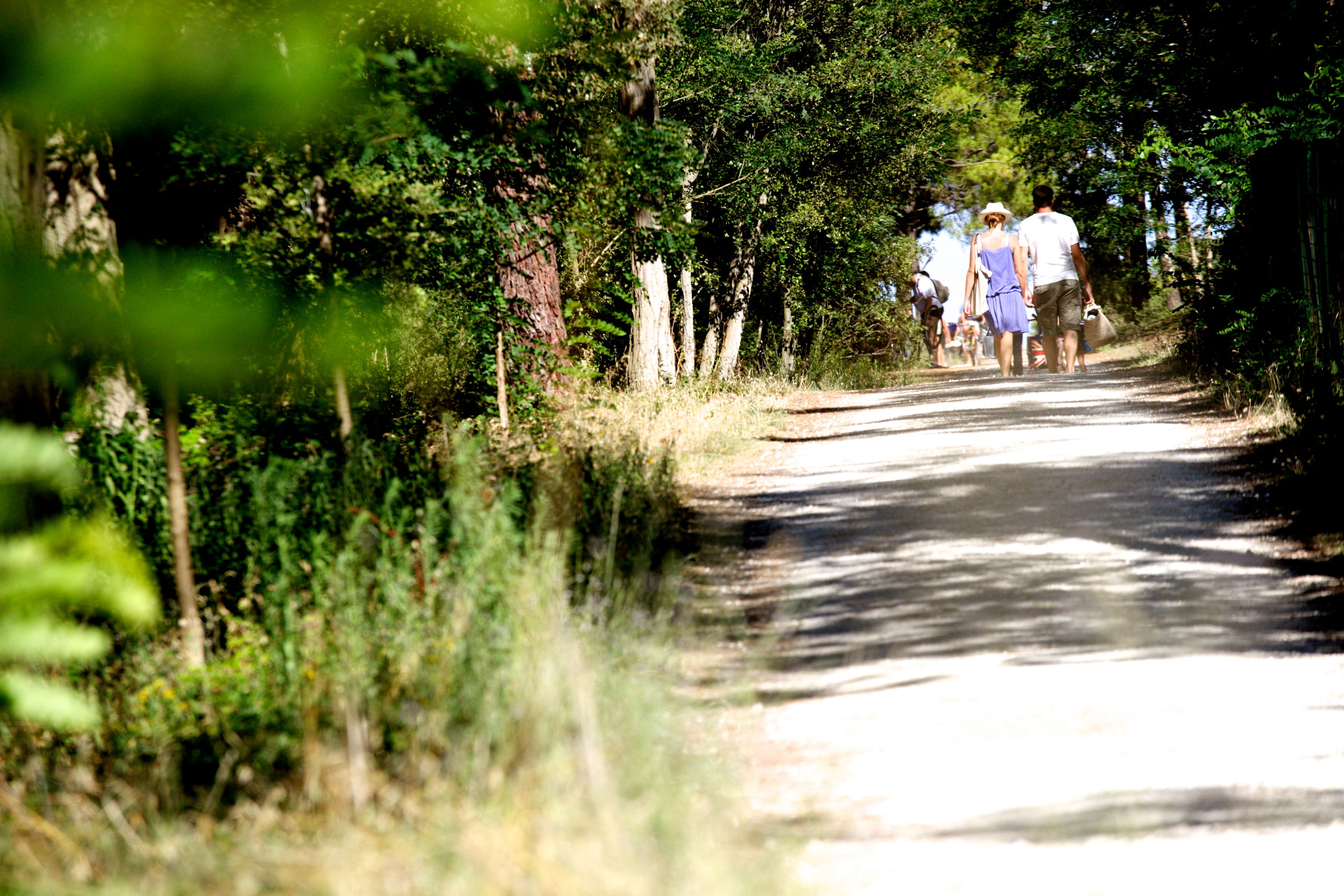 Playa de BoyardVille, por Poitou-Charentes