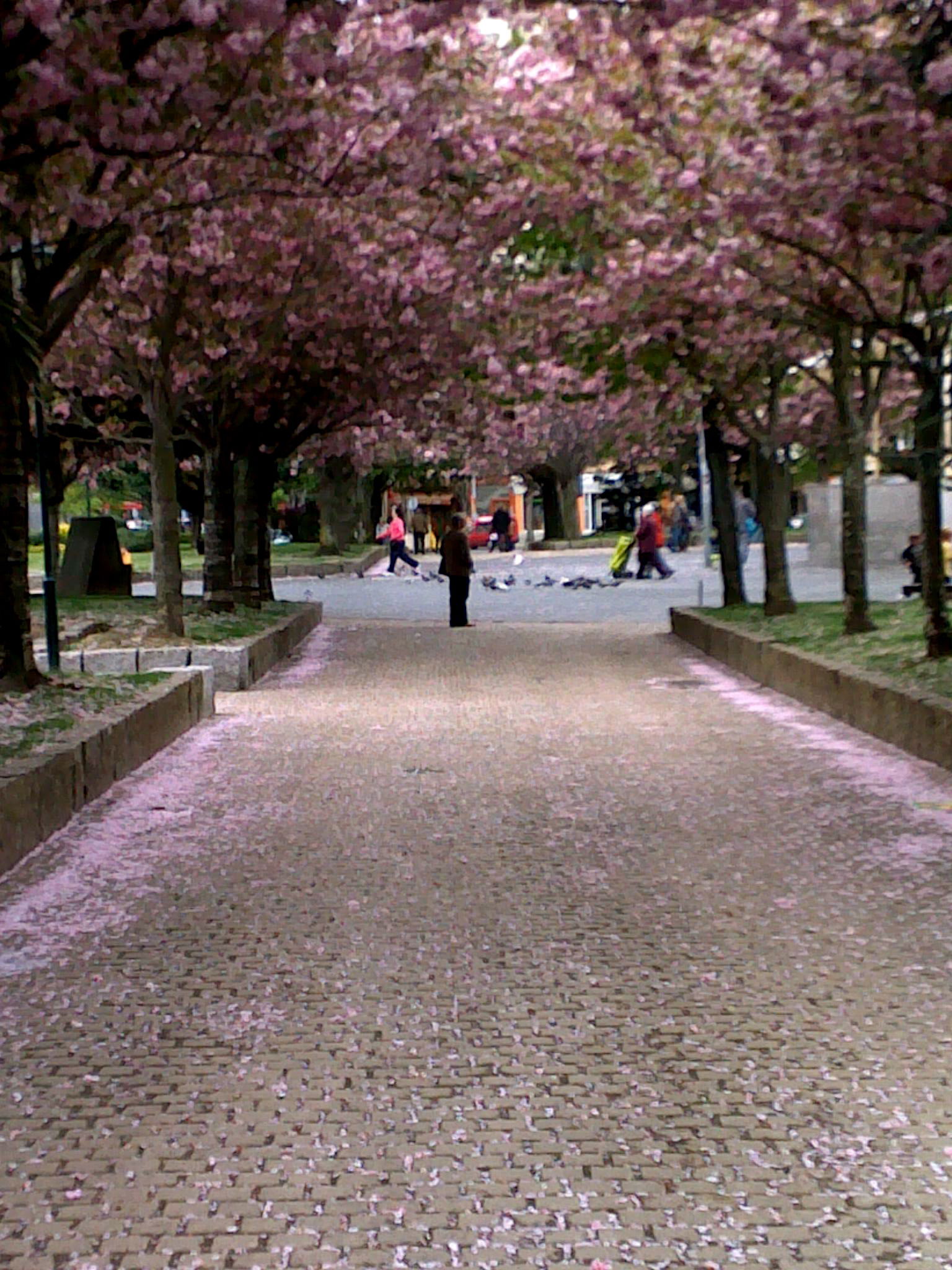 Plaza do Inferniño, por José Enrique Fernández