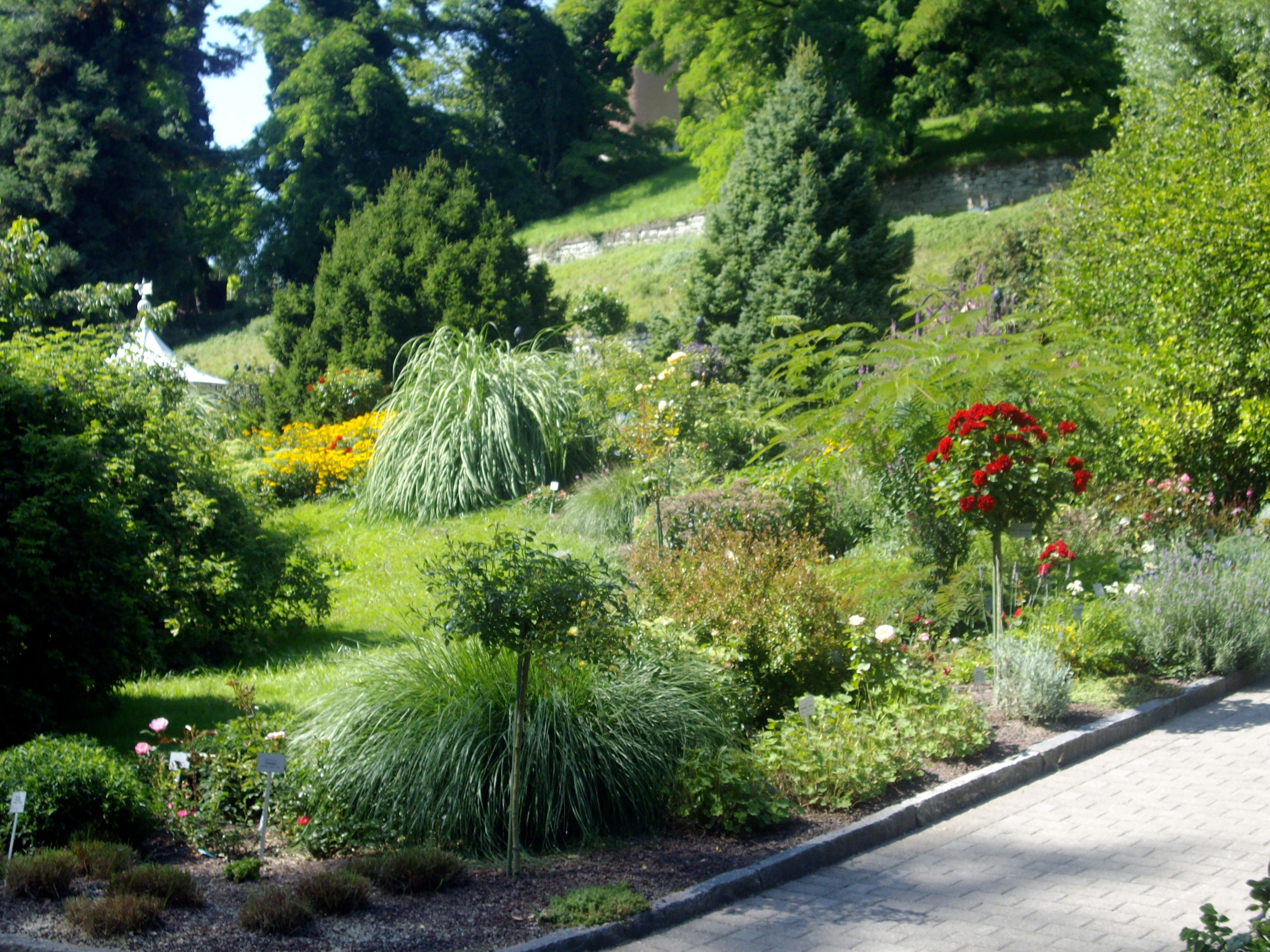 Jardin botanico, por elodies535