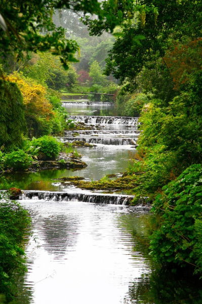 Mount Usher Gardens, por Rikkupikku