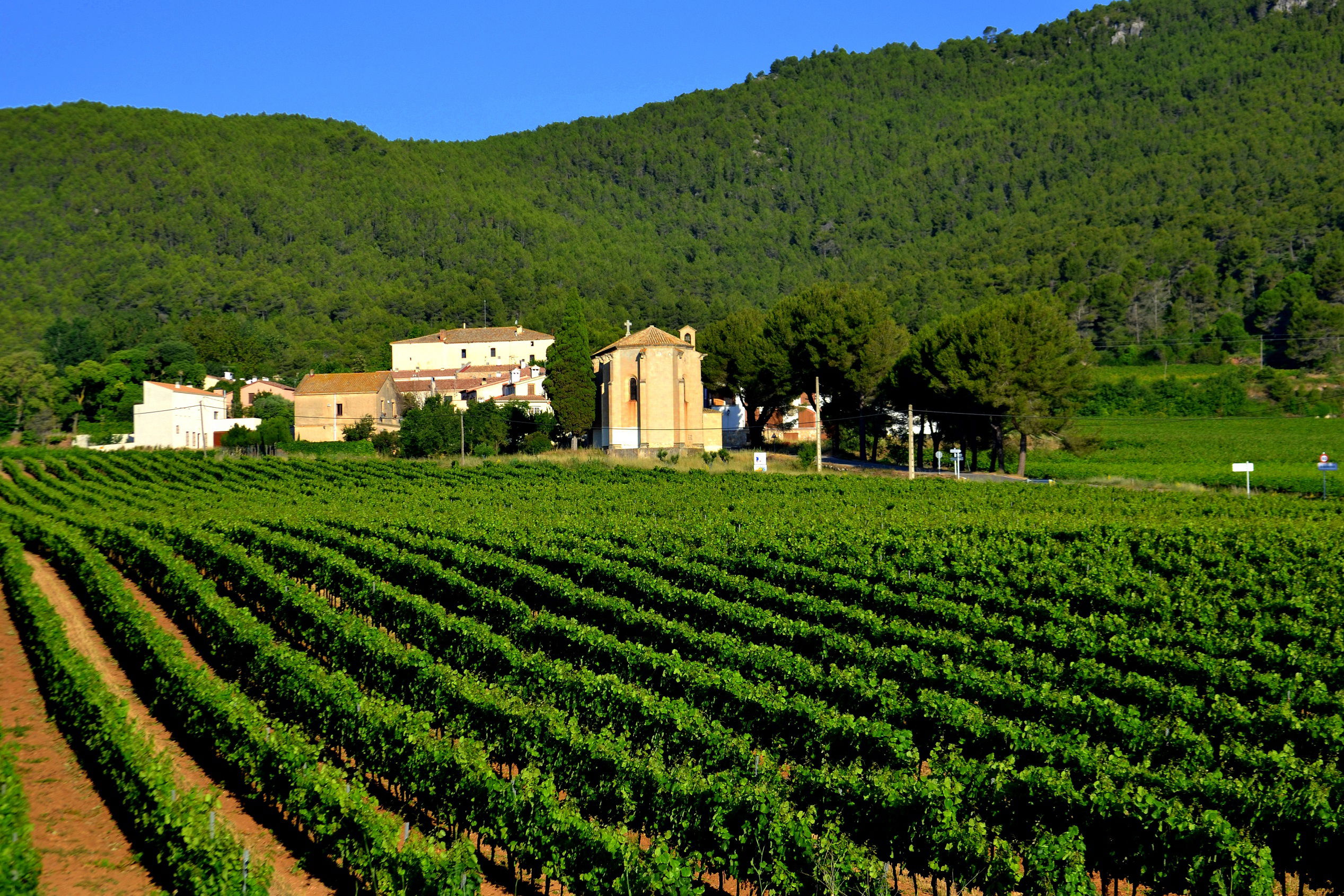 Restaurante El Celler d'Aiguaviva por Àngela Llop Farré