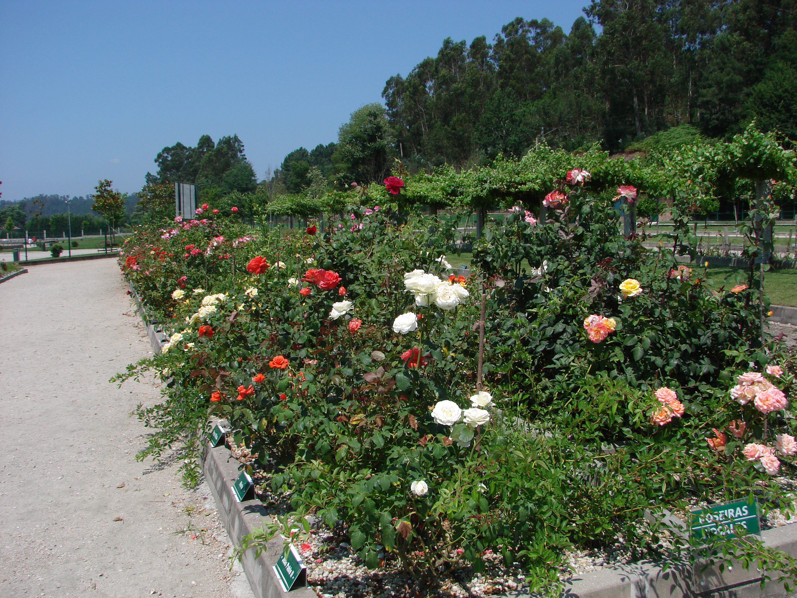 Jardines de A Canuda, por mastroza