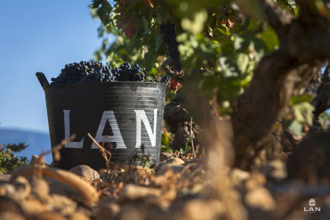 Bodegas Lan, por La Rioja