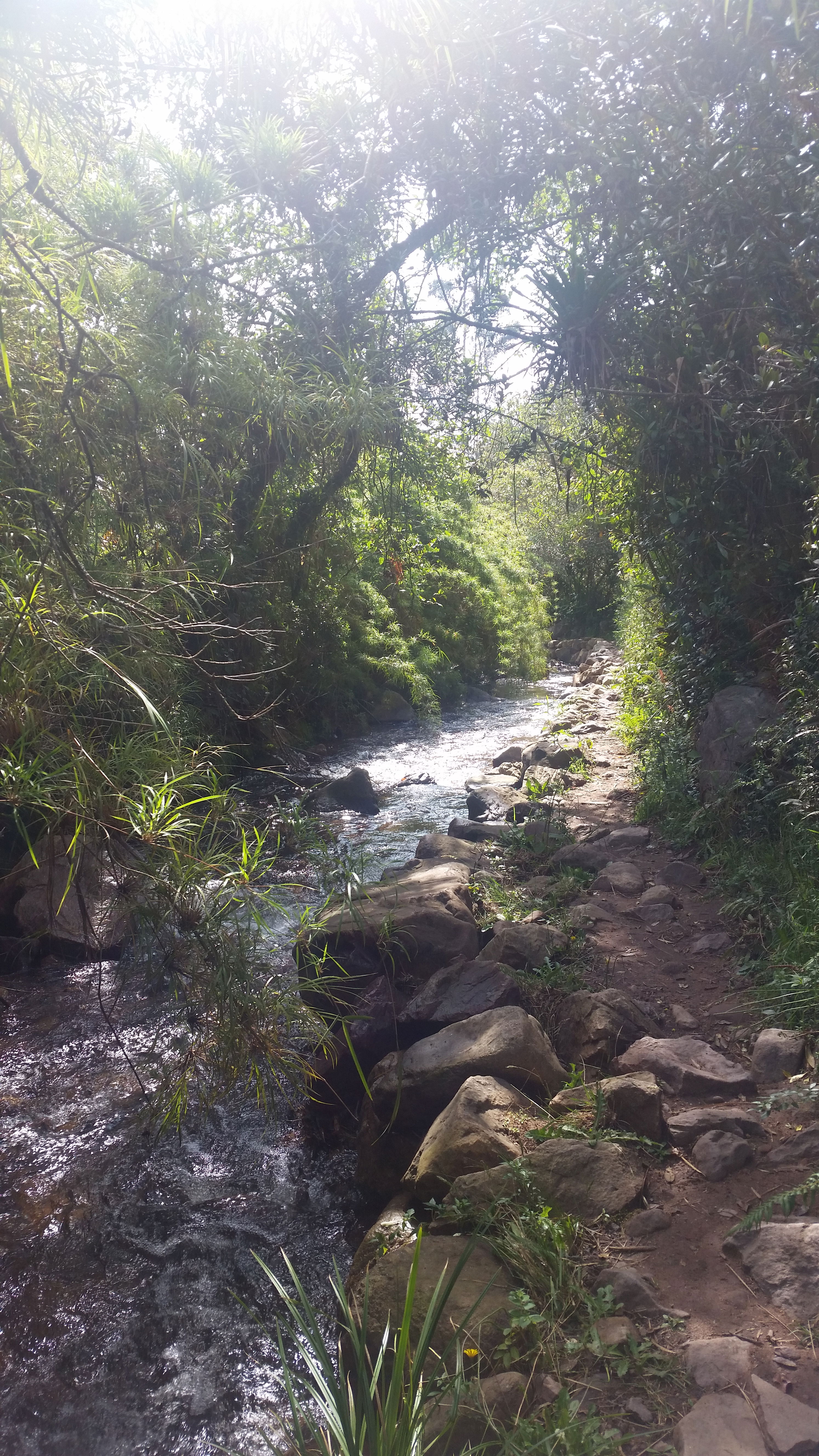 Sendero Ecológico la Zarza, por Paola Pedraza