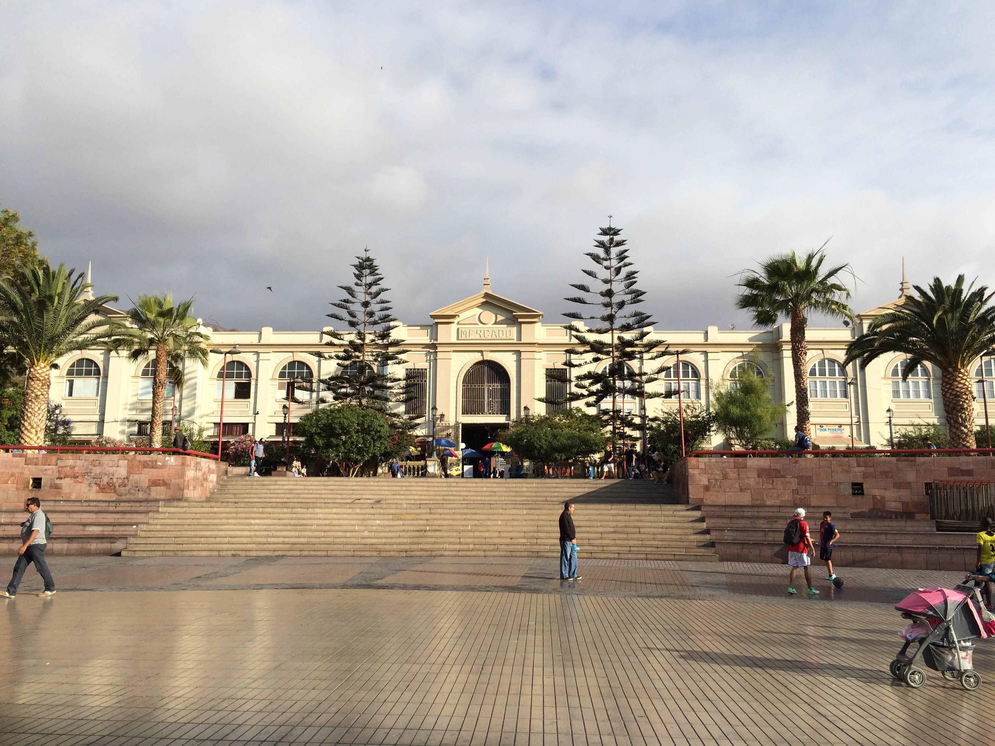 Mercados en Antofagasta que cautivan con sus sabores y tradición