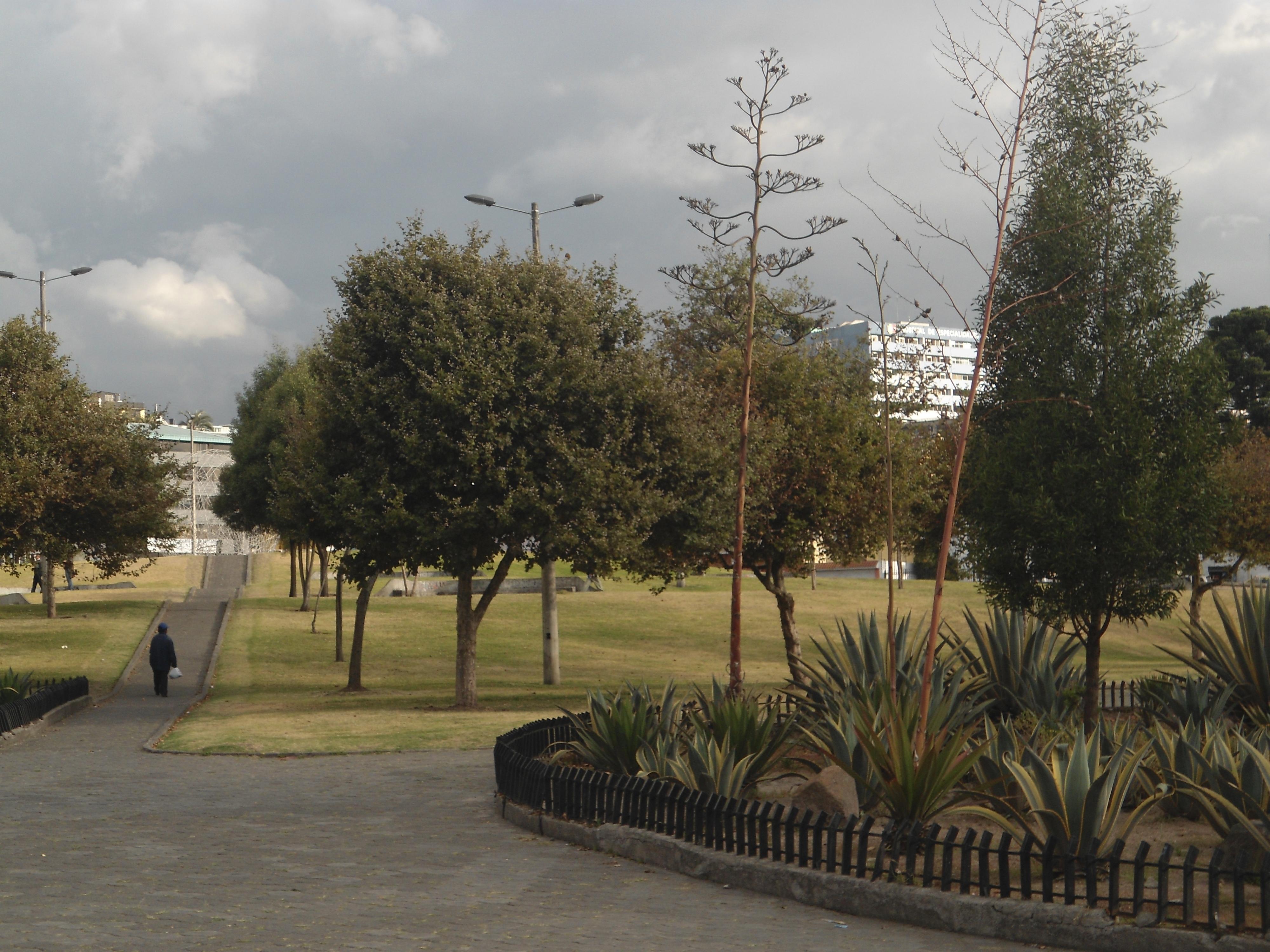 Descubre los jardines ocultos en Quito que te enamorarán