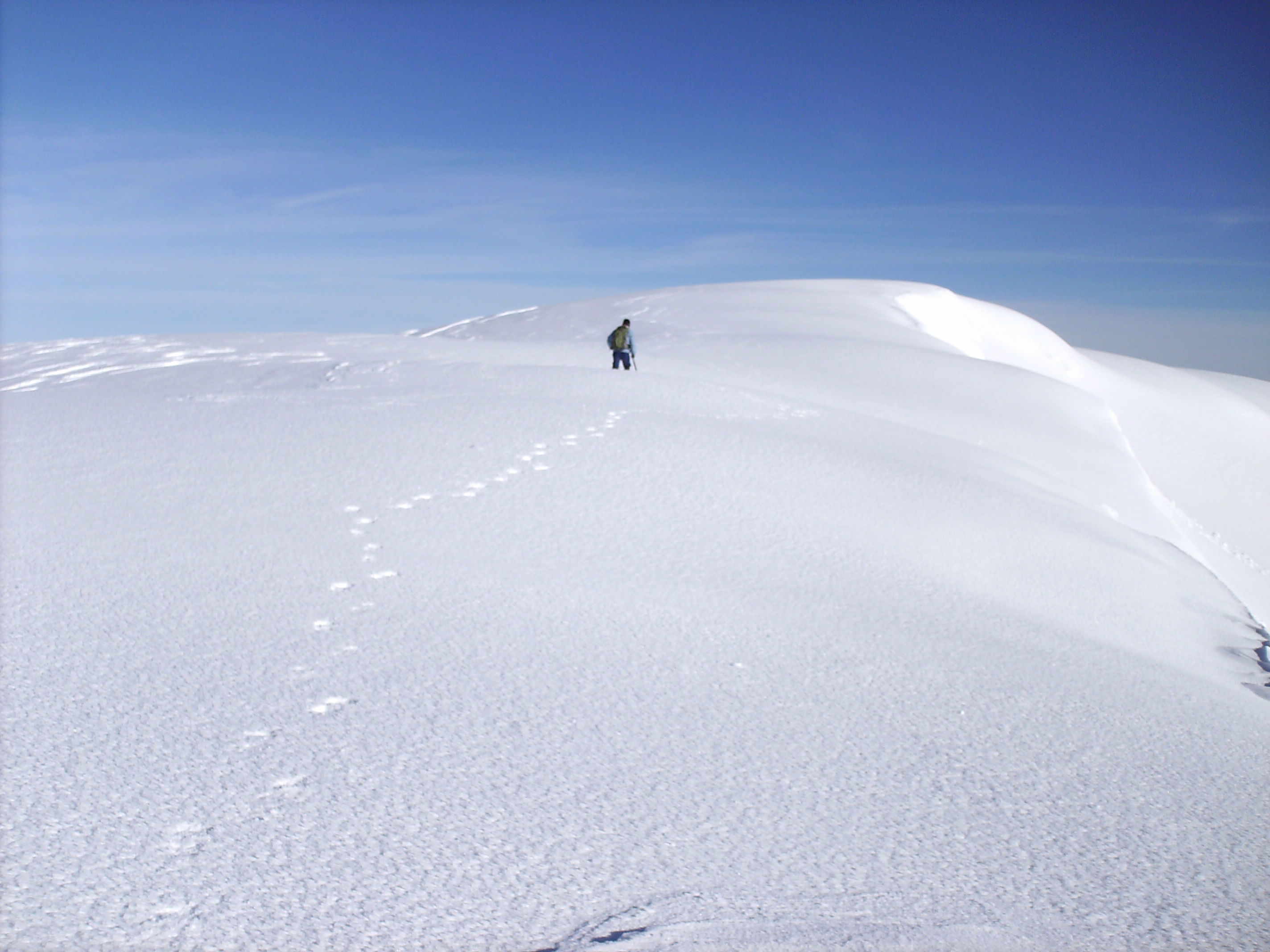 Parque Nacional Natural Los Nevados, por ISABEL CRISTINA ALZATE