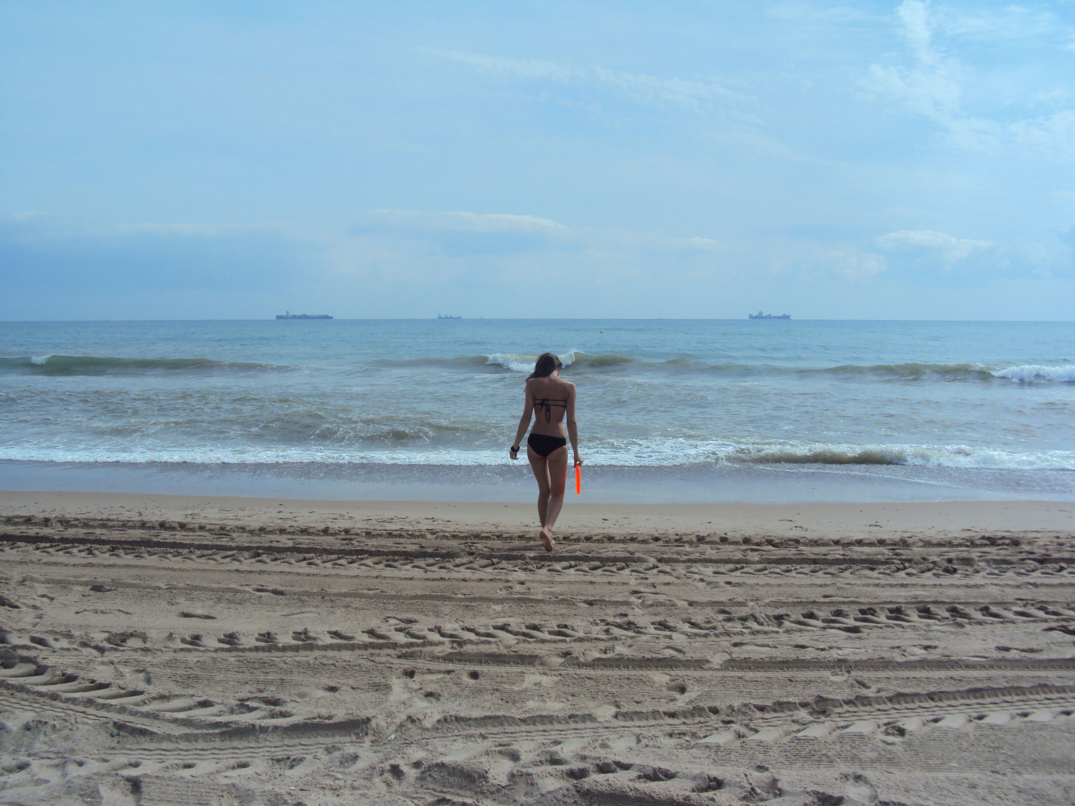 Playa El Saler, por deniels