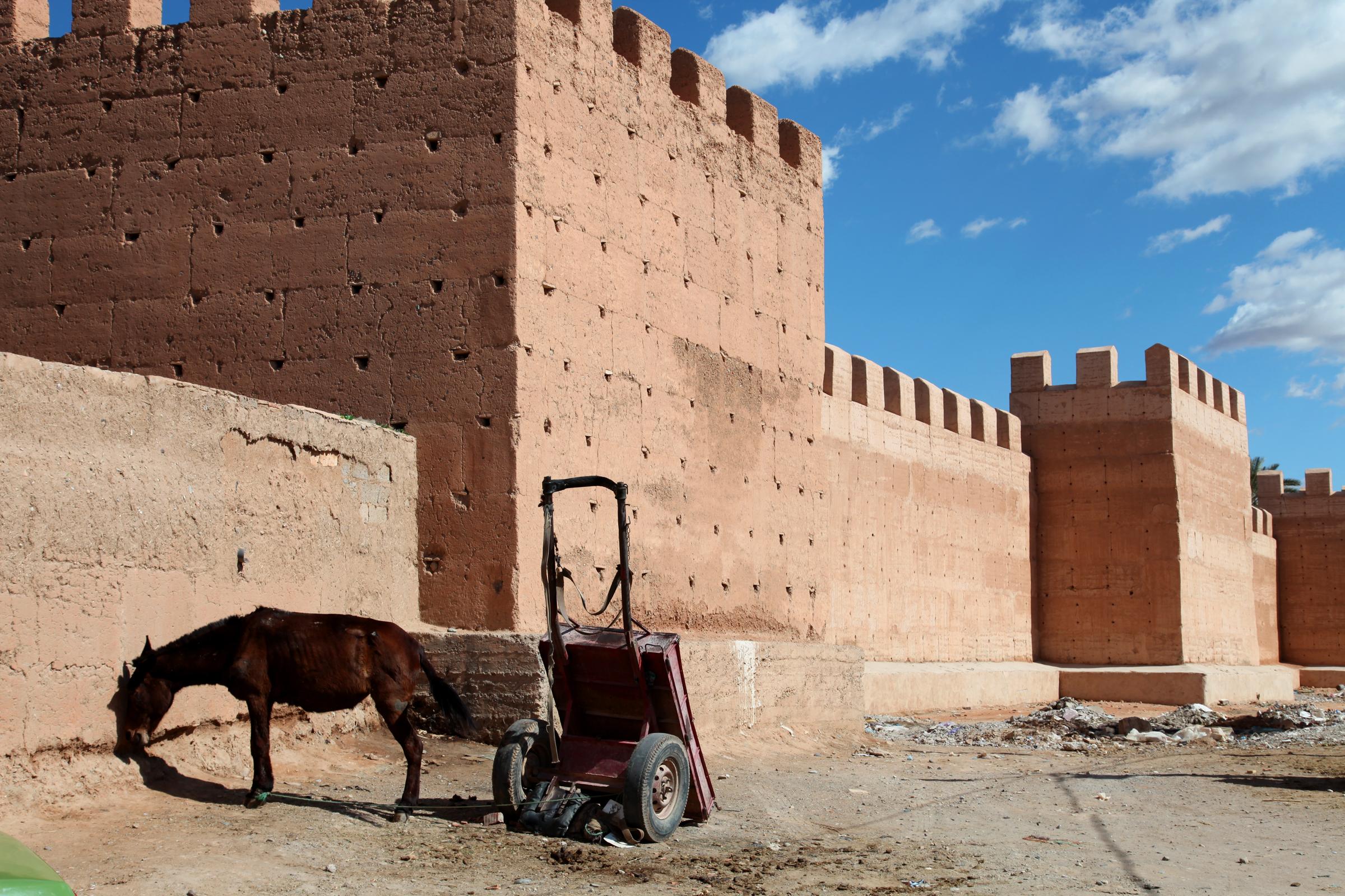 Muralla de Taroudant, por GERARD DECQ
