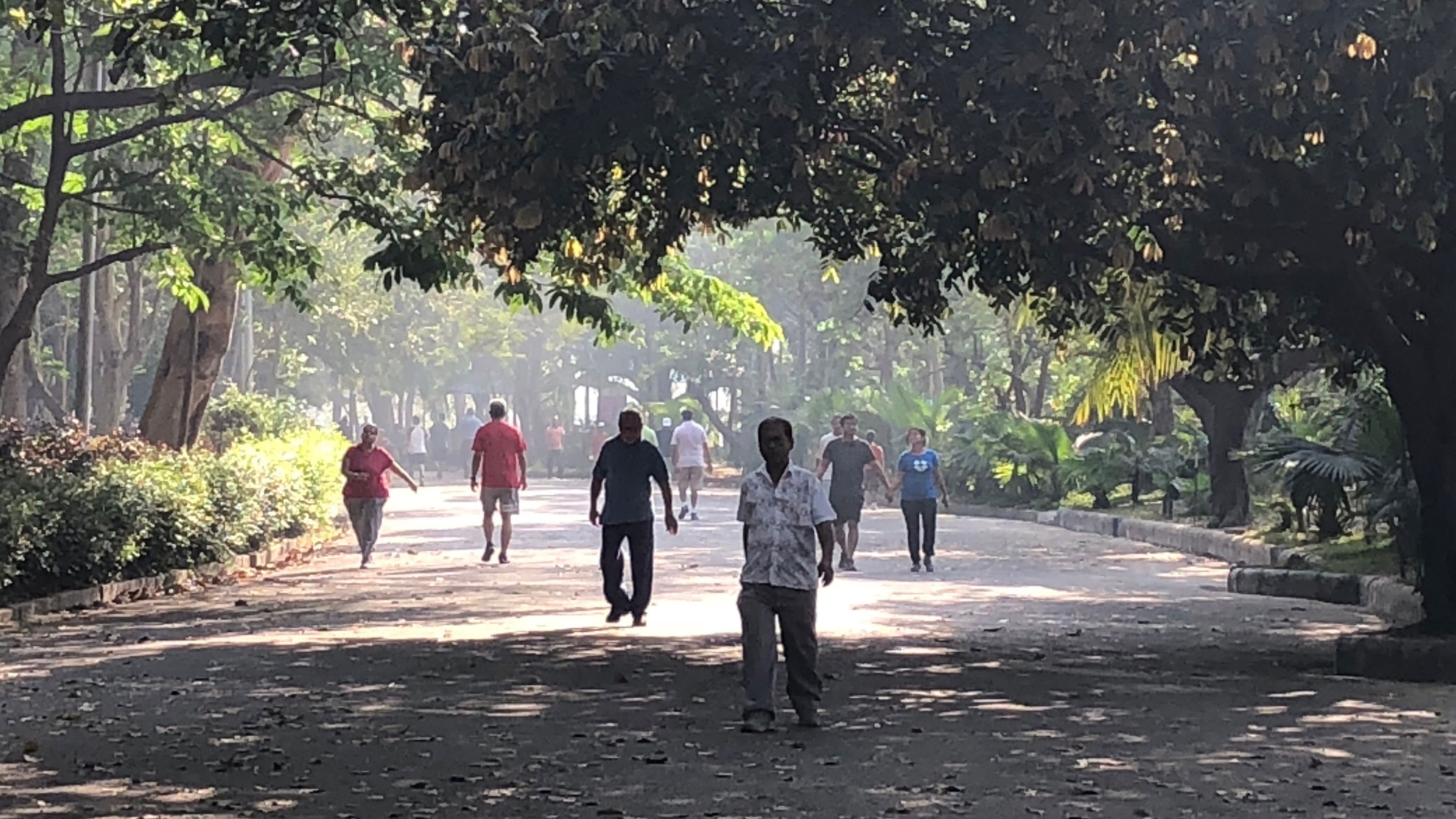 Jardines en Kolkata: un oasis de naturaleza y tranquilidad urbano