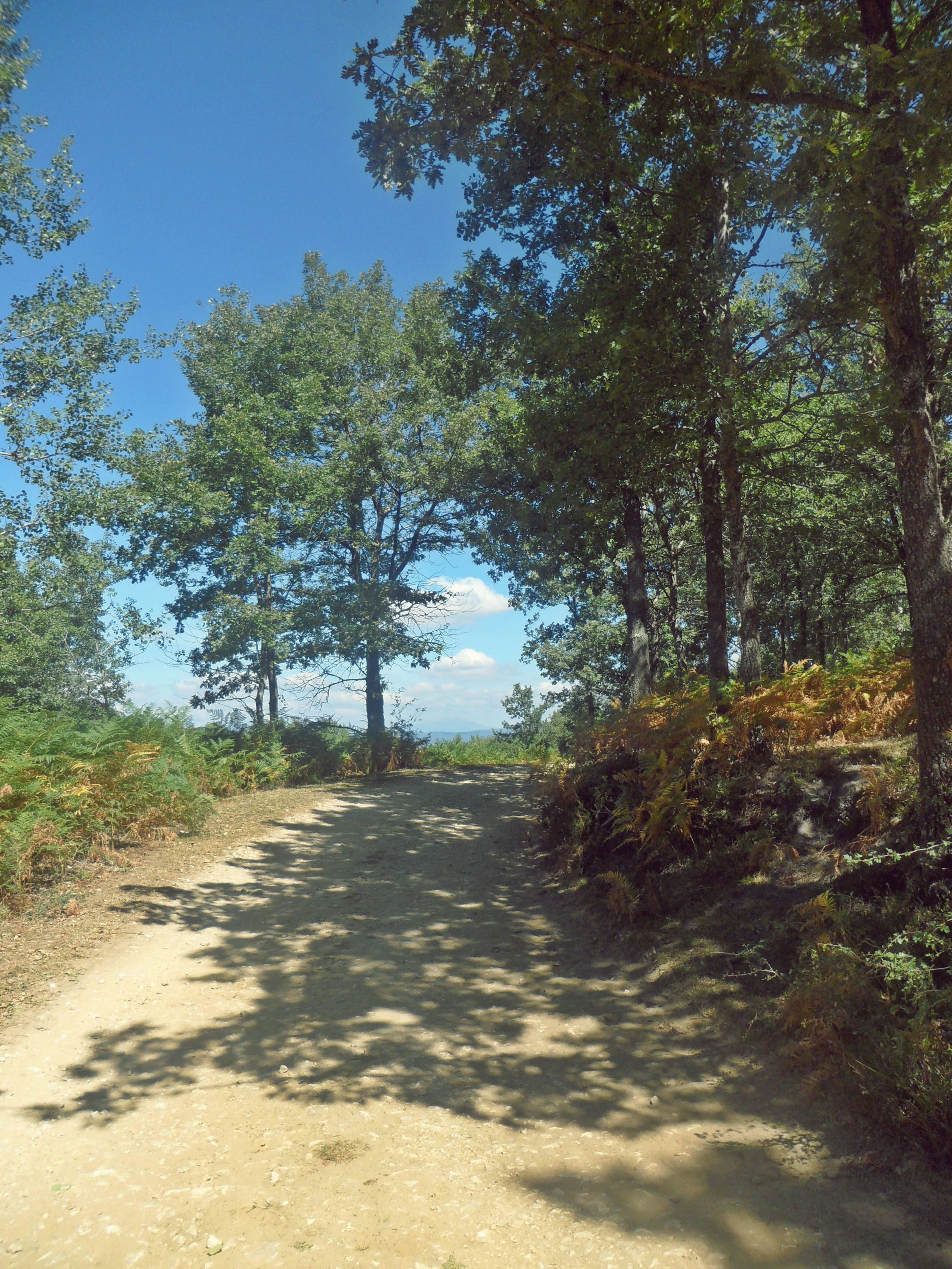 Monte Toloño, por Maria Cruz Garcia Ruiz