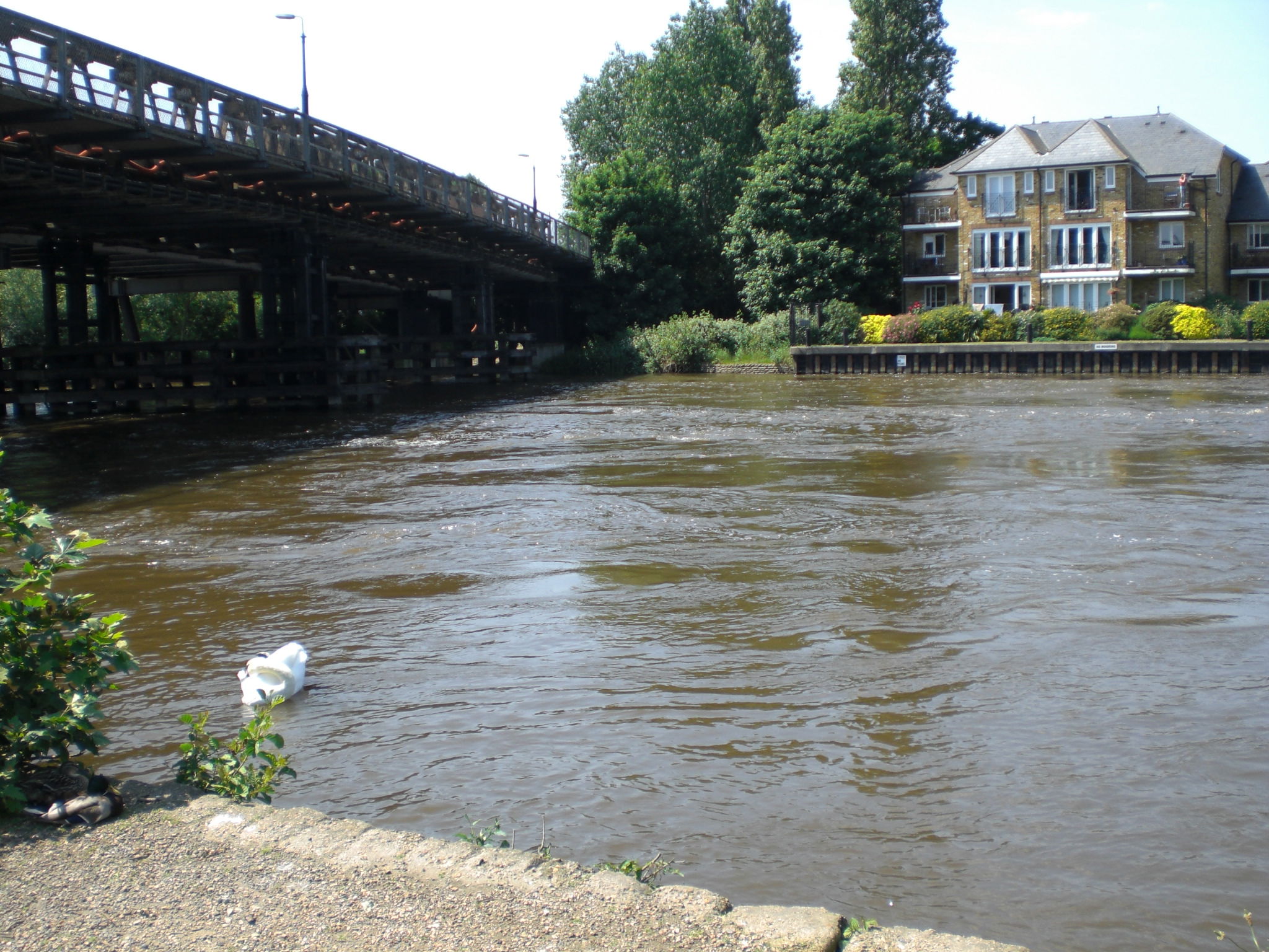 Sunbury on Thames, por paulinette
