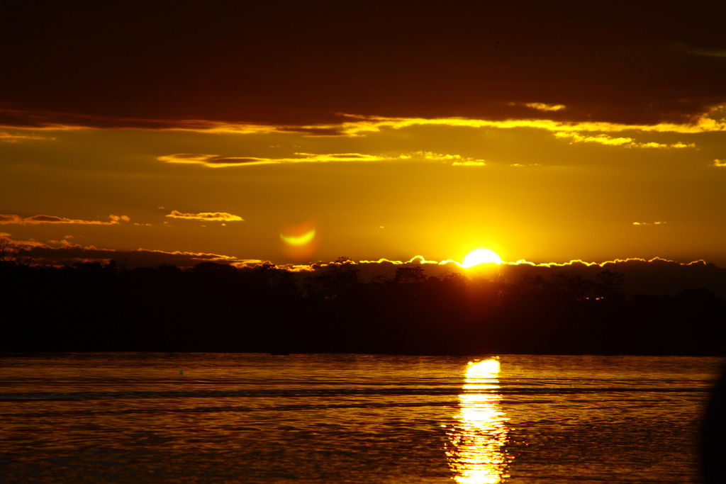 Amazonas, por Laura Feged