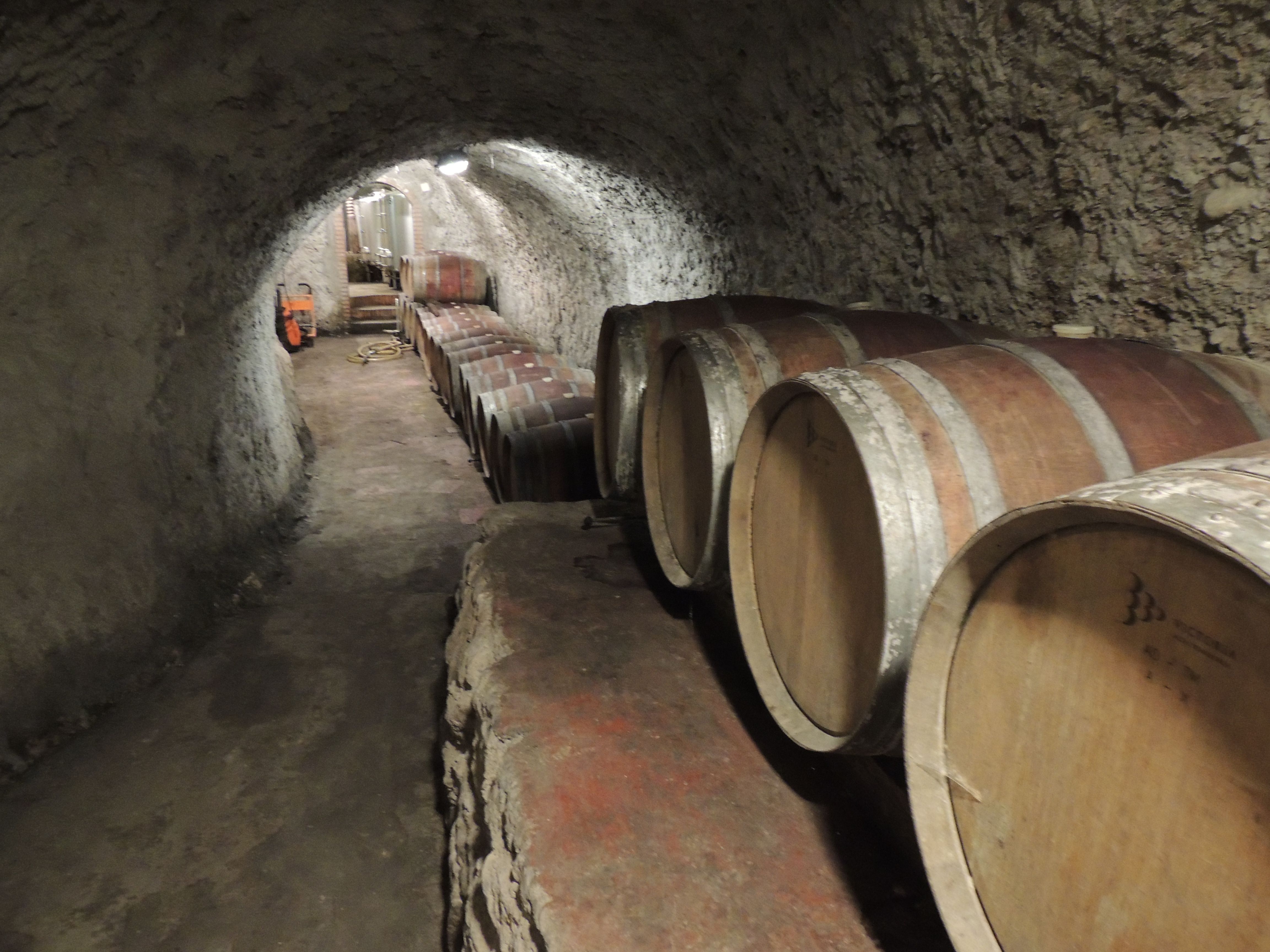 Bodegas en Cáceres: un recorrido por el enoturismo y sus secretos