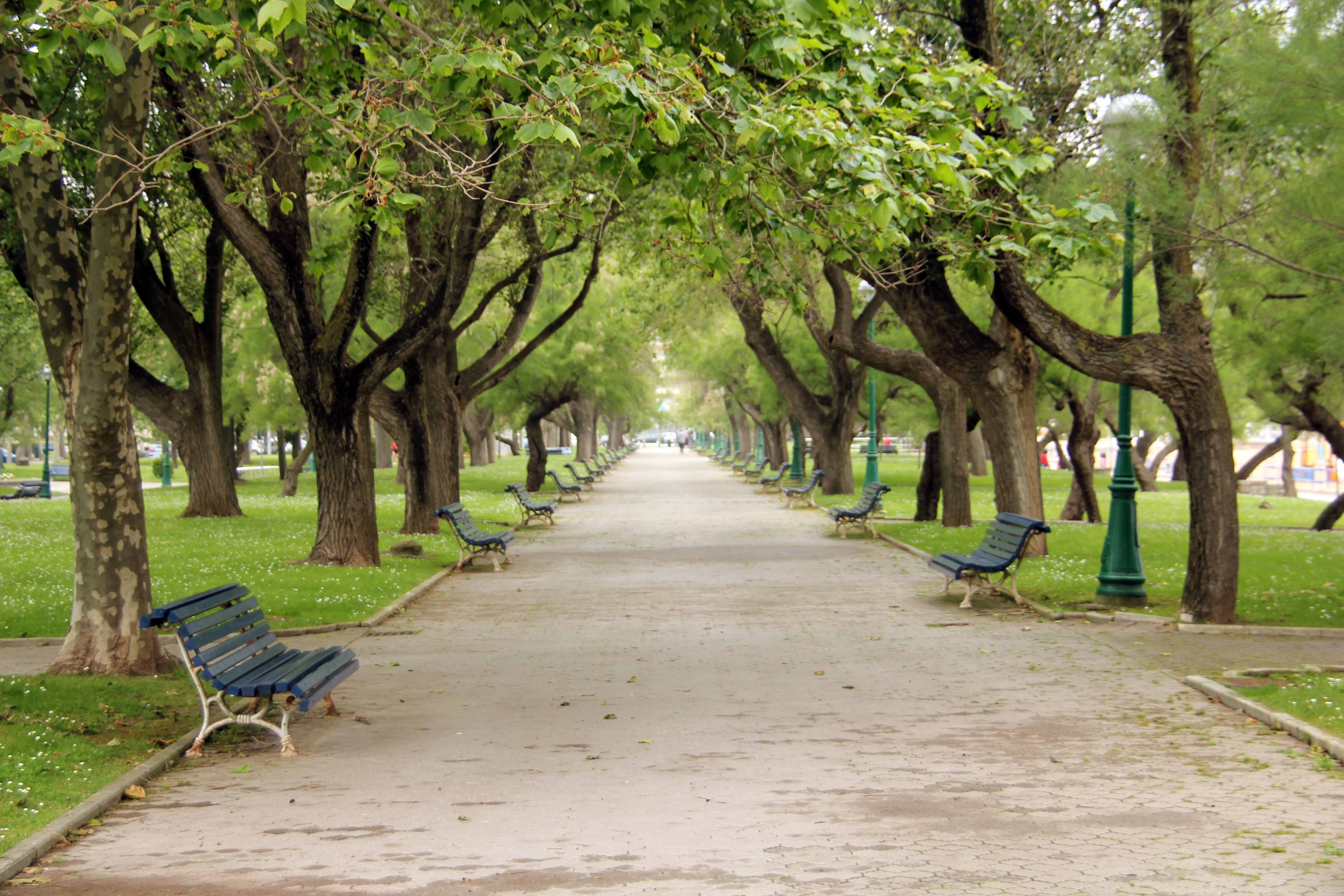 Jardines en Santander que despiertan la esencia de la naturaleza