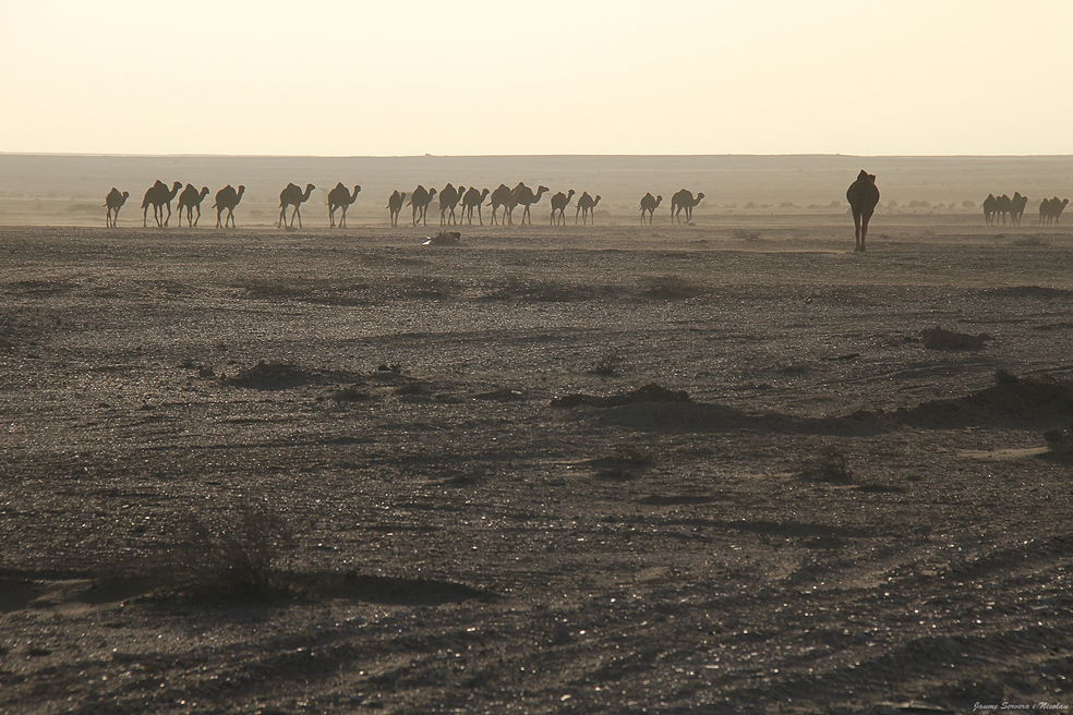 Ciudad de Esmara, por Ruta47