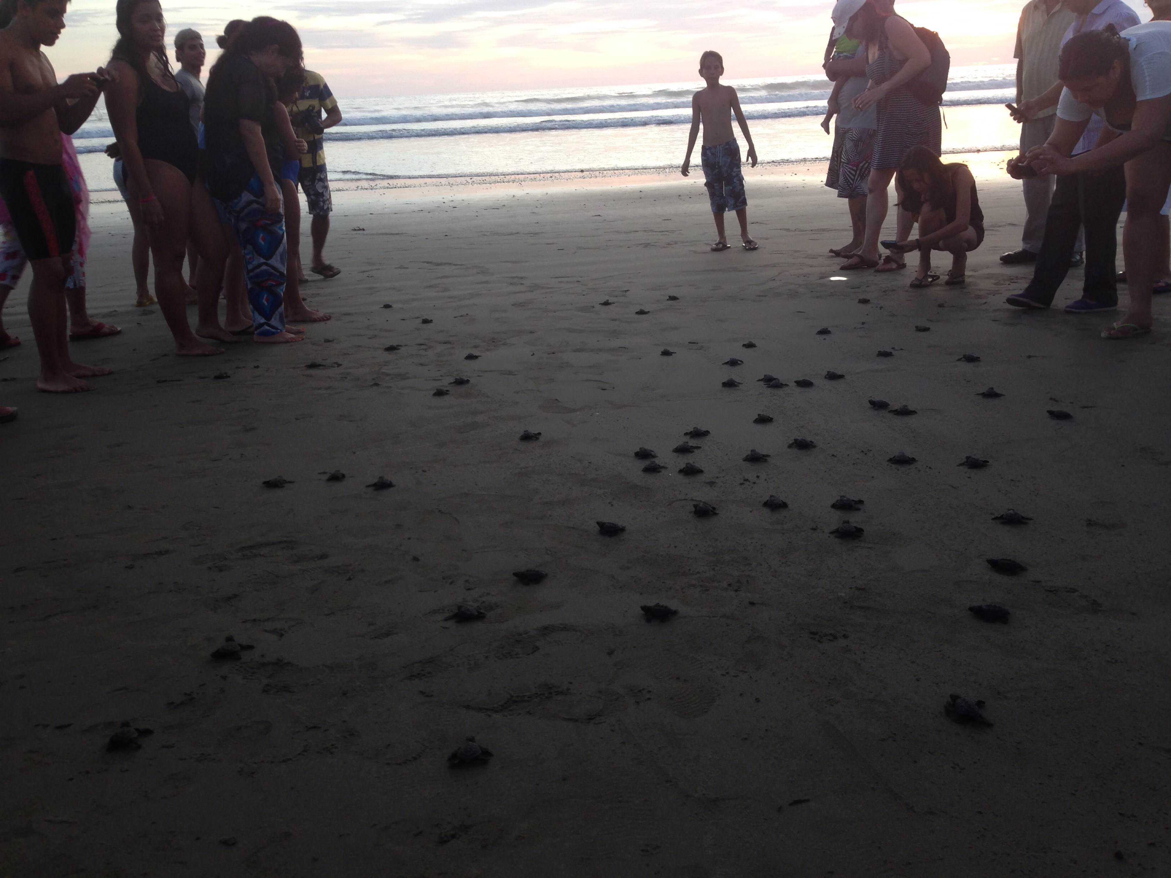 Playas de San Juan del Sur que deslumbrarán tu sentido aventurero