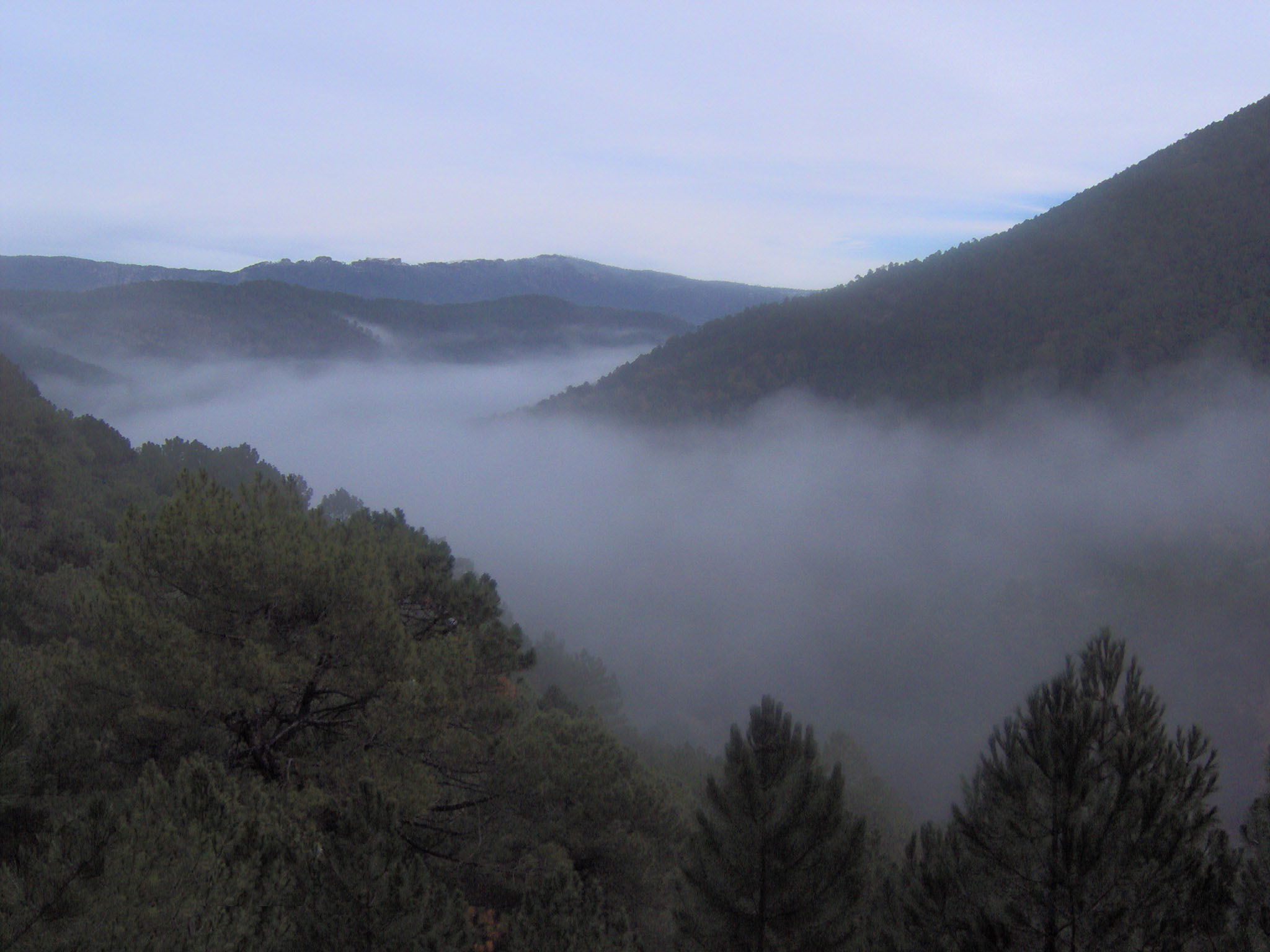 Mar de nubes, por Sasa