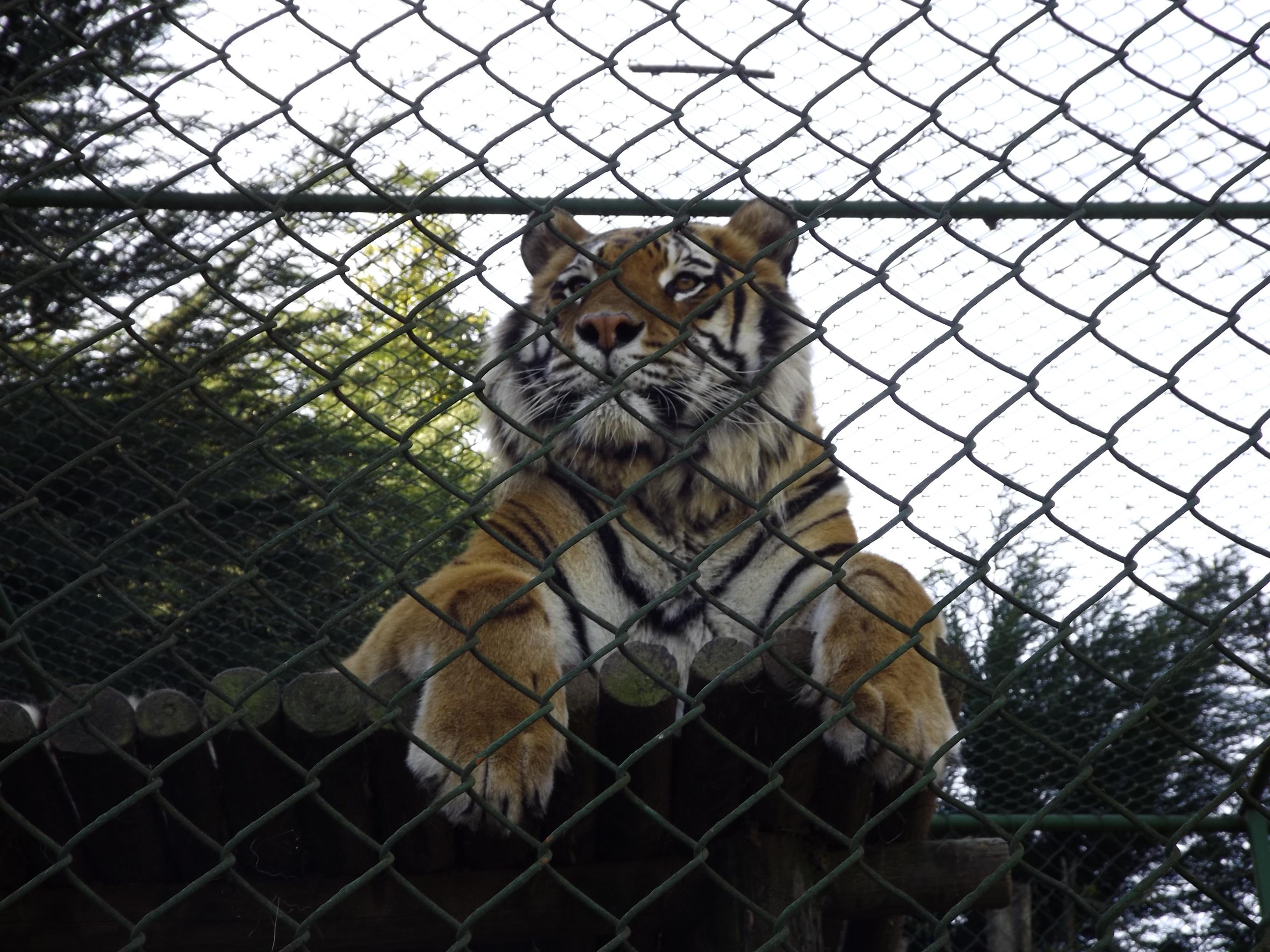 Parque Zooologico Concepcion, por Daniela Quiroz
