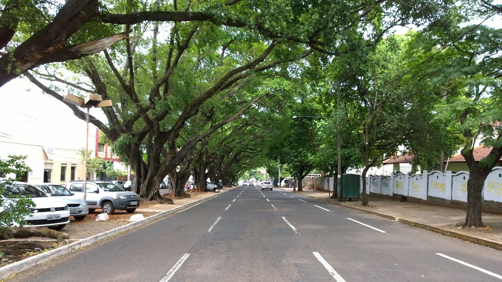 Avenida Mato Grosso, por Fernando Hashimoto