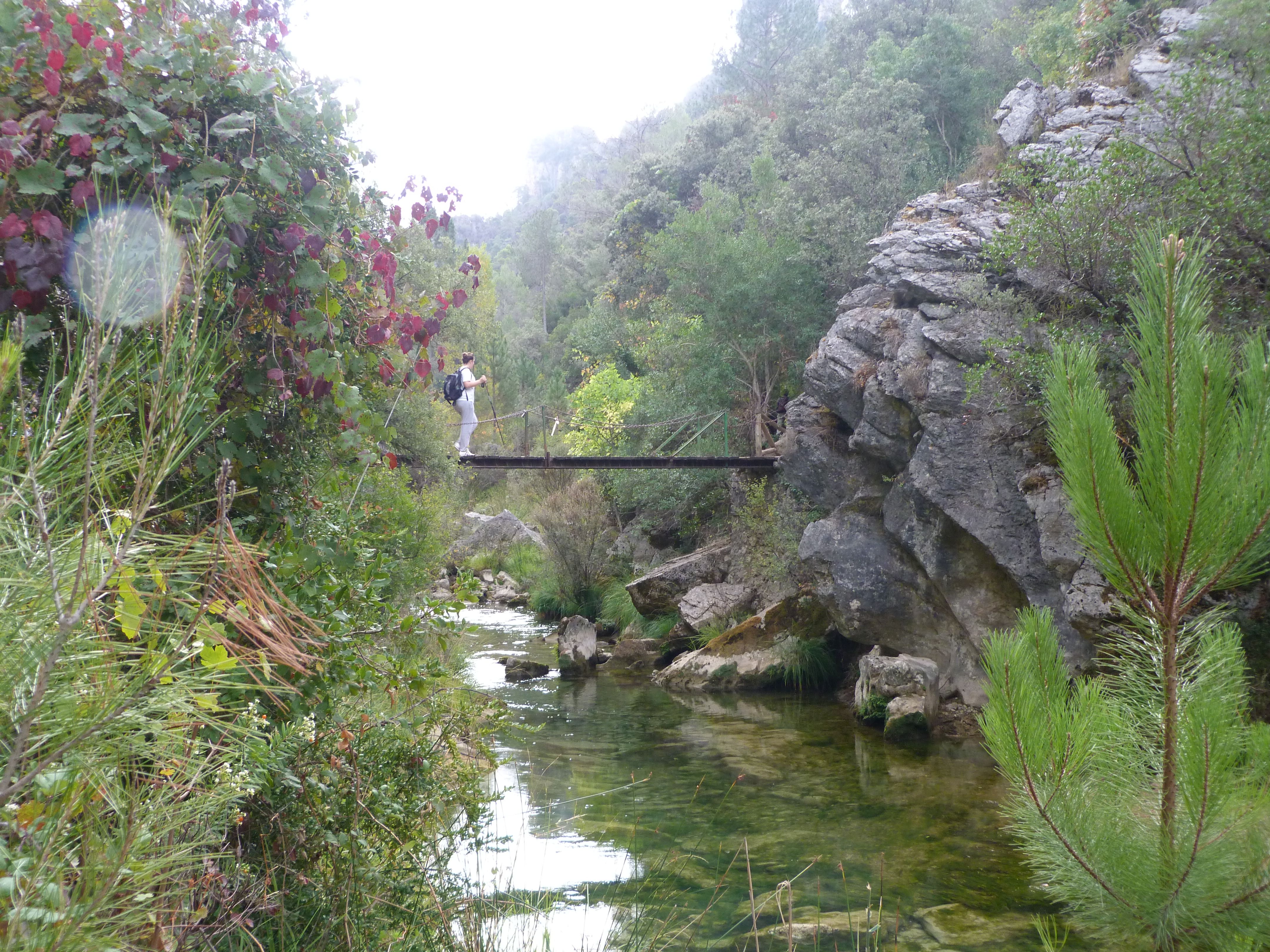 Nacimento del rio borosa, por rosa
