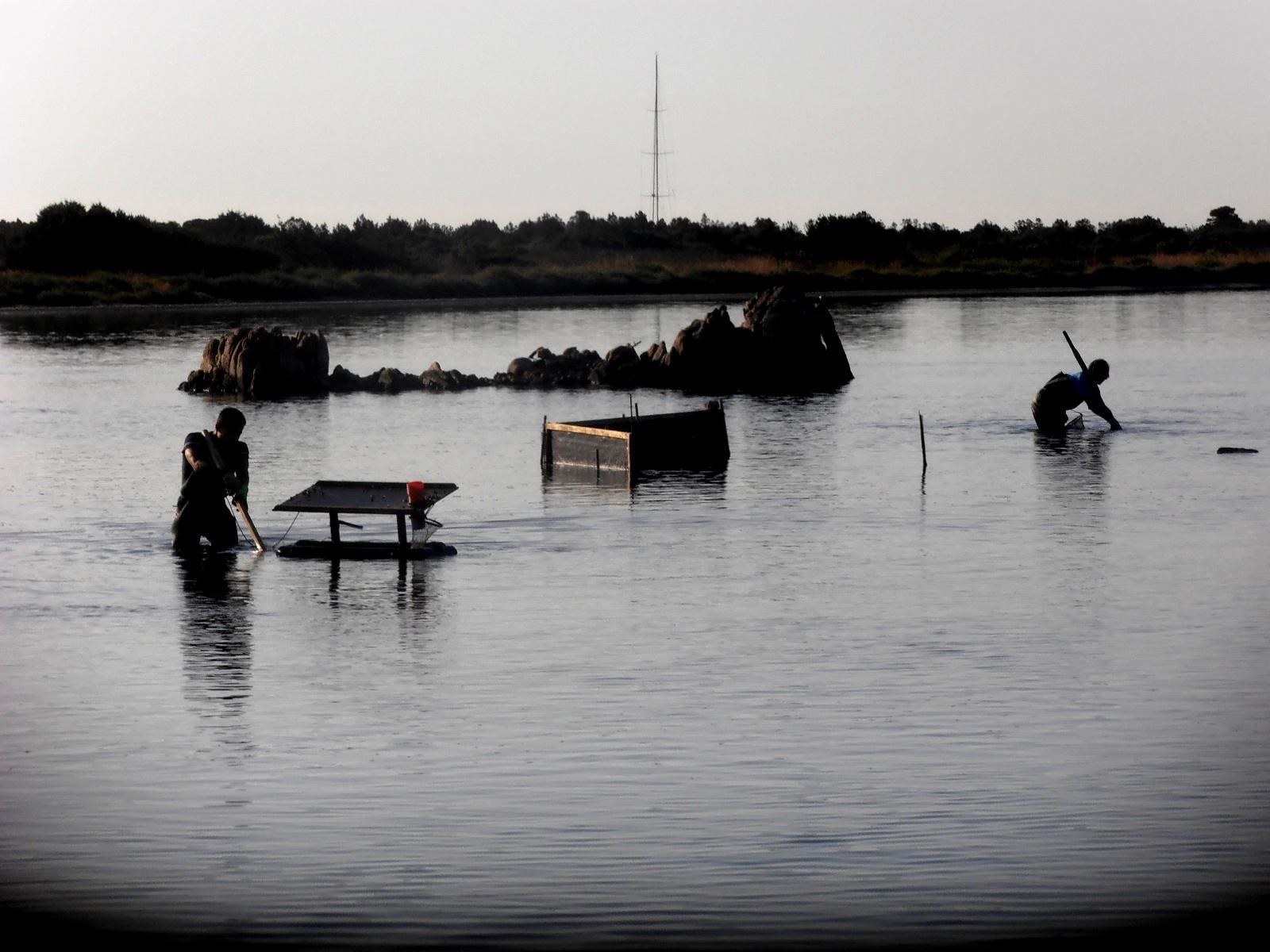 Descubre los encantos de los lagos en Cerdeña y su naturaleza deslumbrante