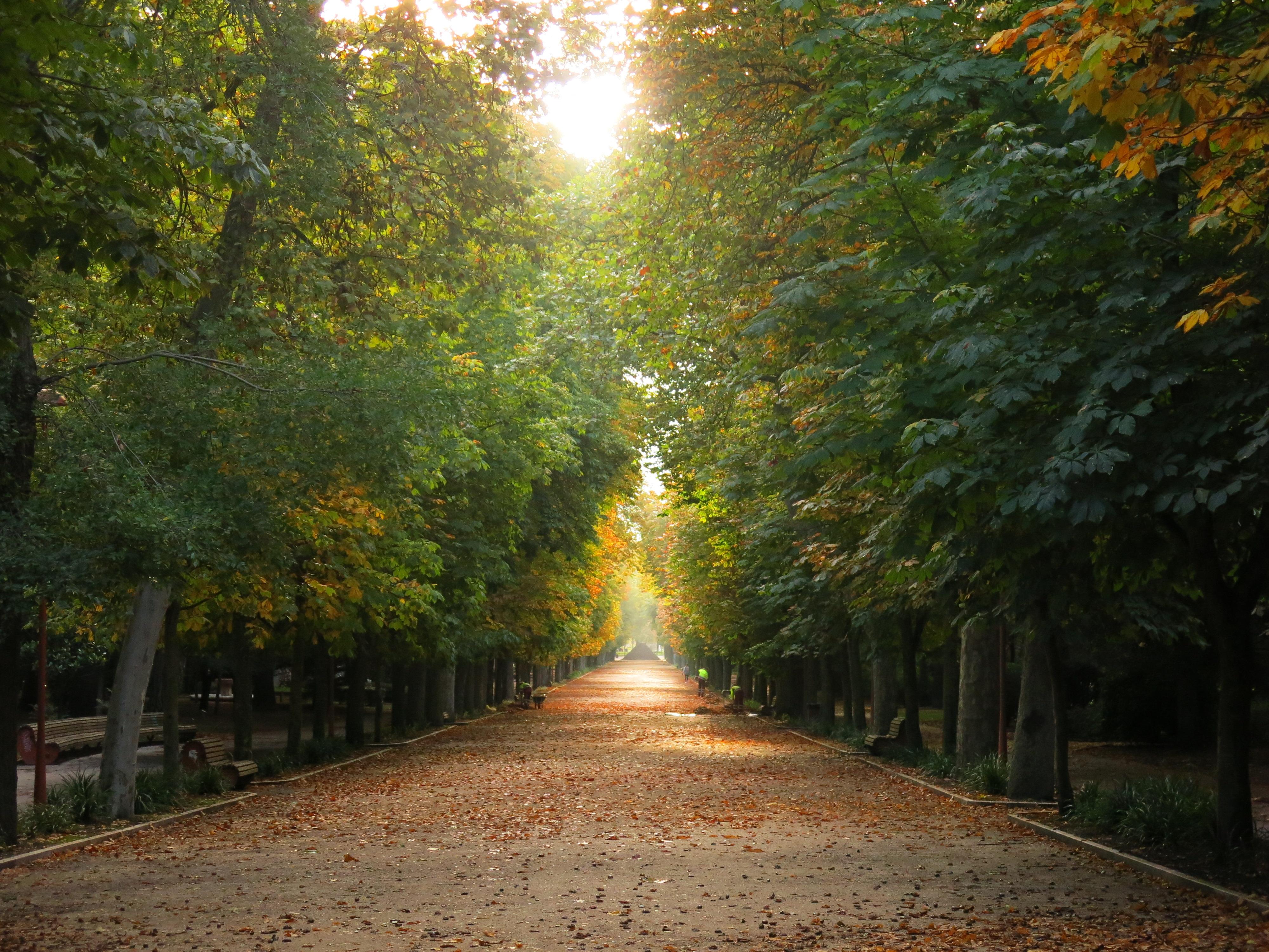 Paseo de la Isla., por Violeta Stefanova Mitkova
