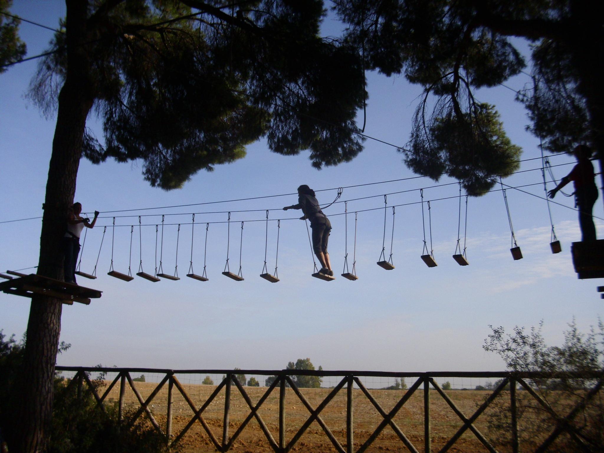 El Bosque Suspendido, por Turismo de la Provincia de Sevilla
