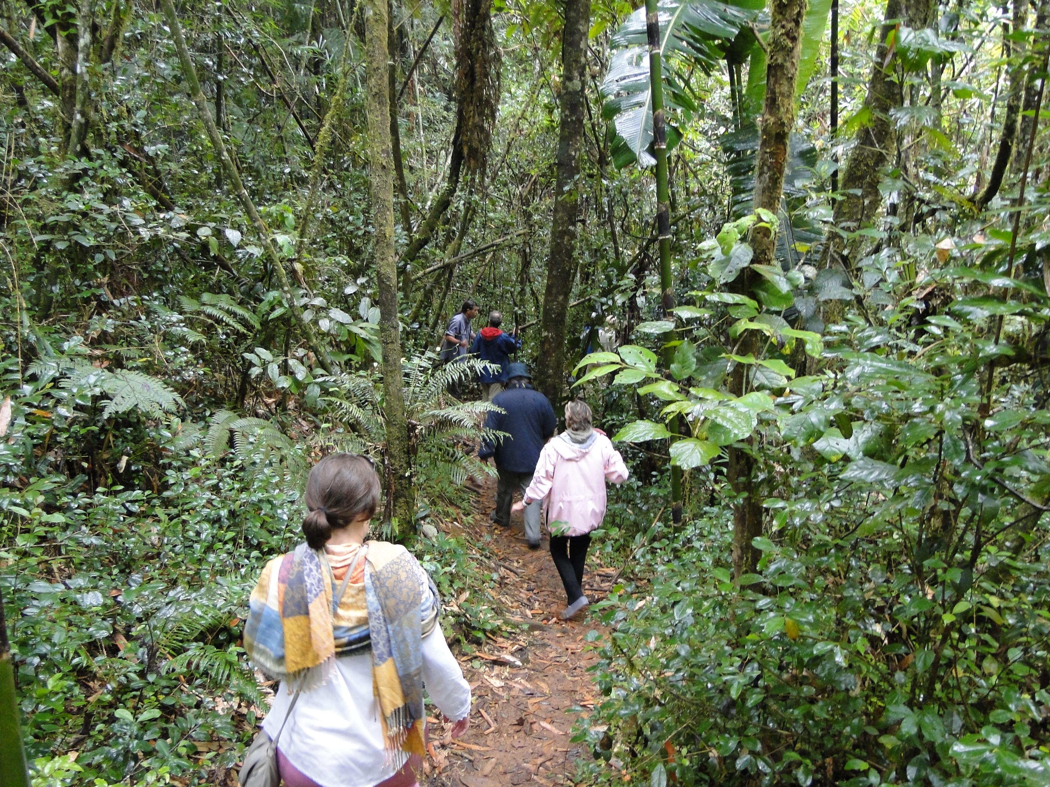 Parque Nacional de Ranomafana, por Jesus Garcia