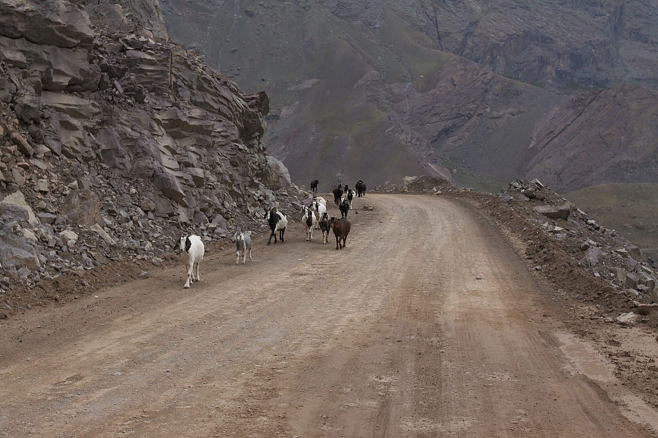 El Yeso, por José Saavedra