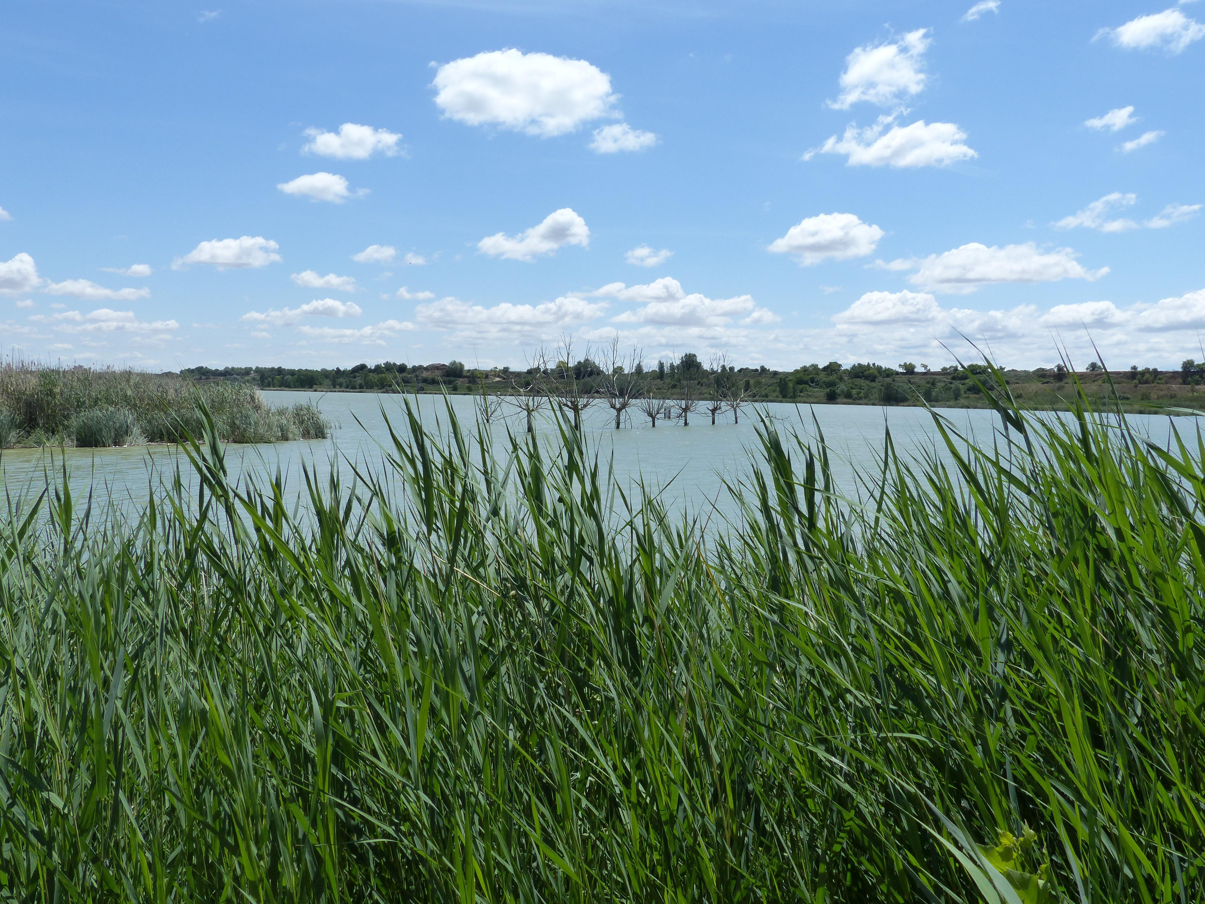 Estany d'Ivars i Vila-Sana, por Xipo Enelmundoperdido
