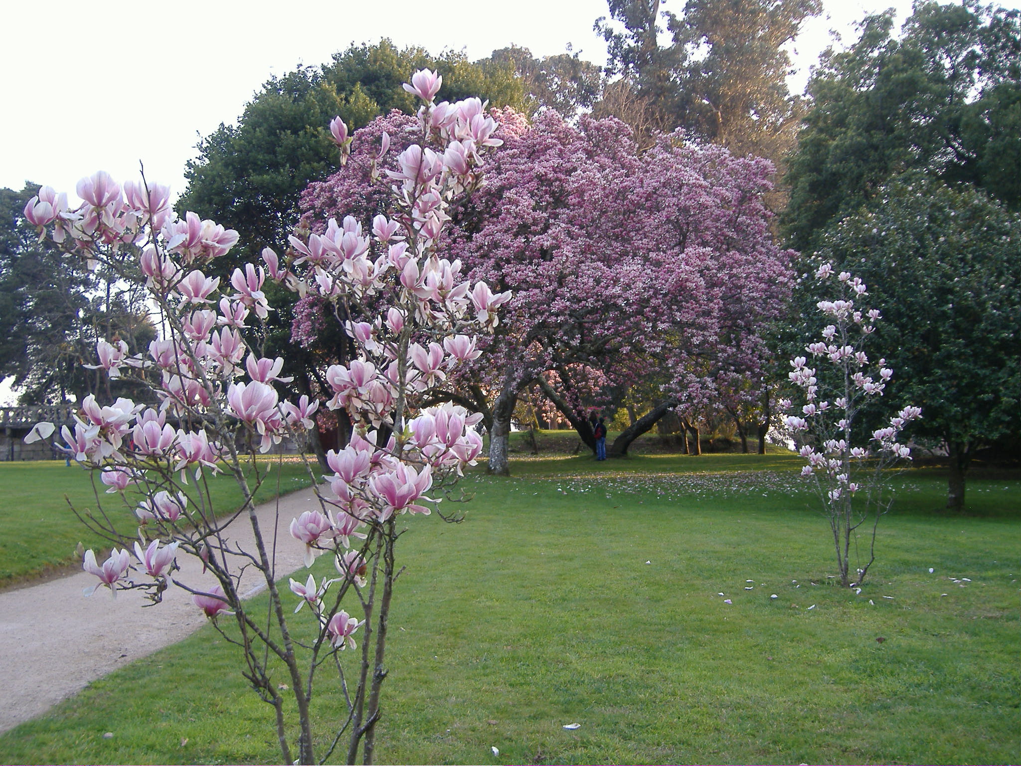 Jardines del Pazo Quiñones de León, por Sasa72
