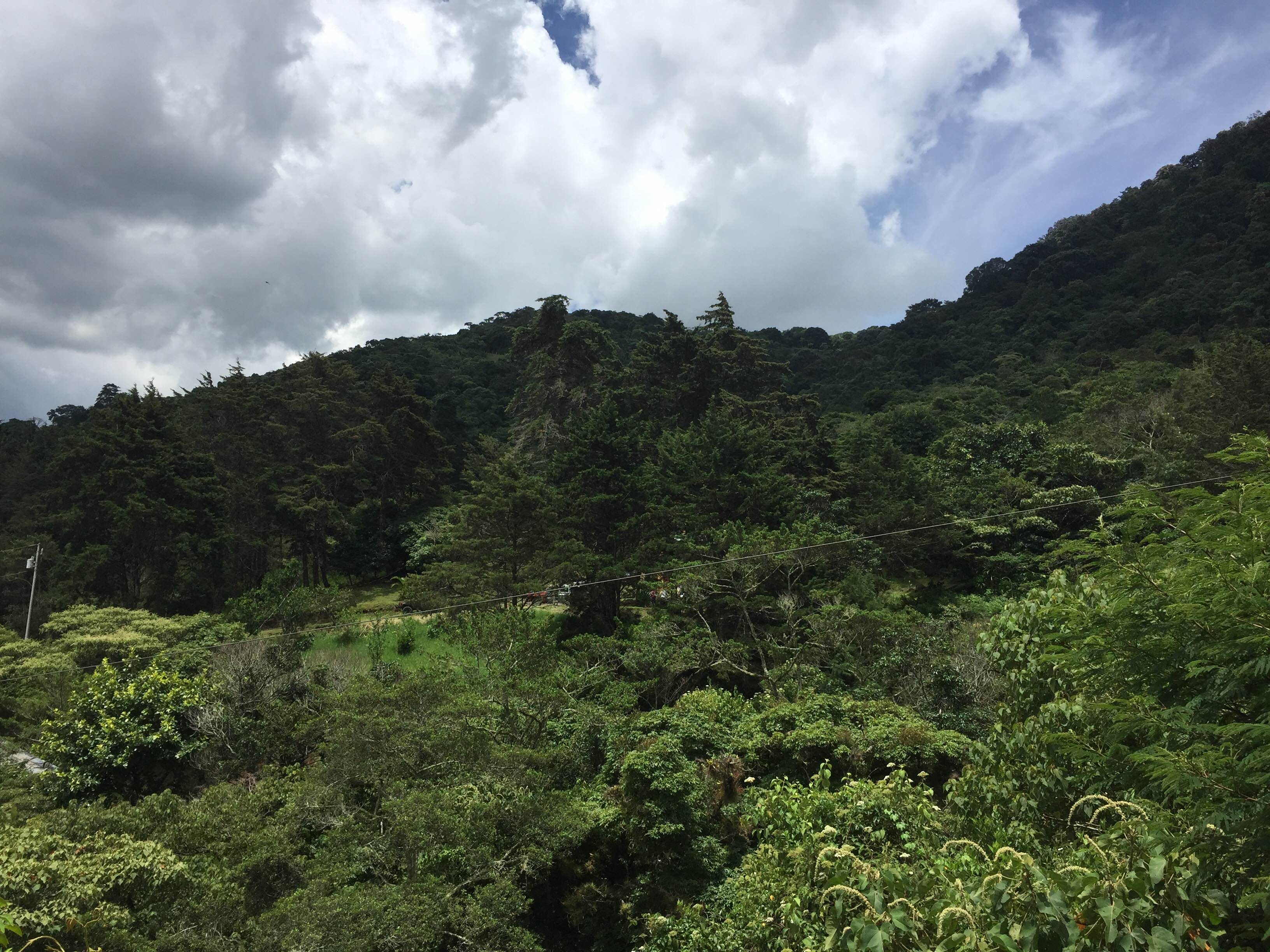 Bosques en Cartago: un recorrido por la belleza natural costarricense