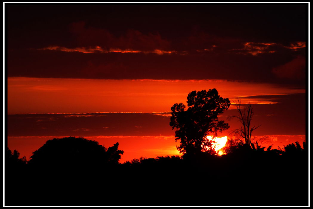 Amanecer Tucumano, por ALEJANDRO NIETO
