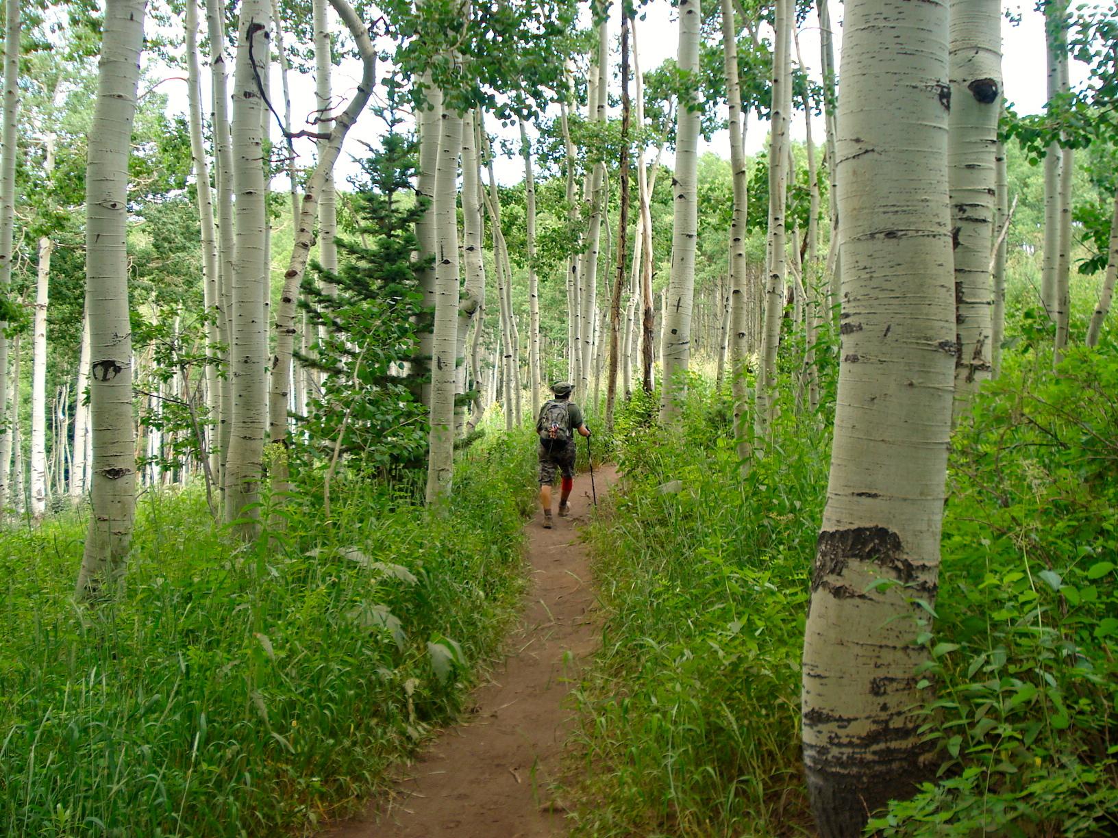 Park City, por Diana Patricia Montemayor Flores